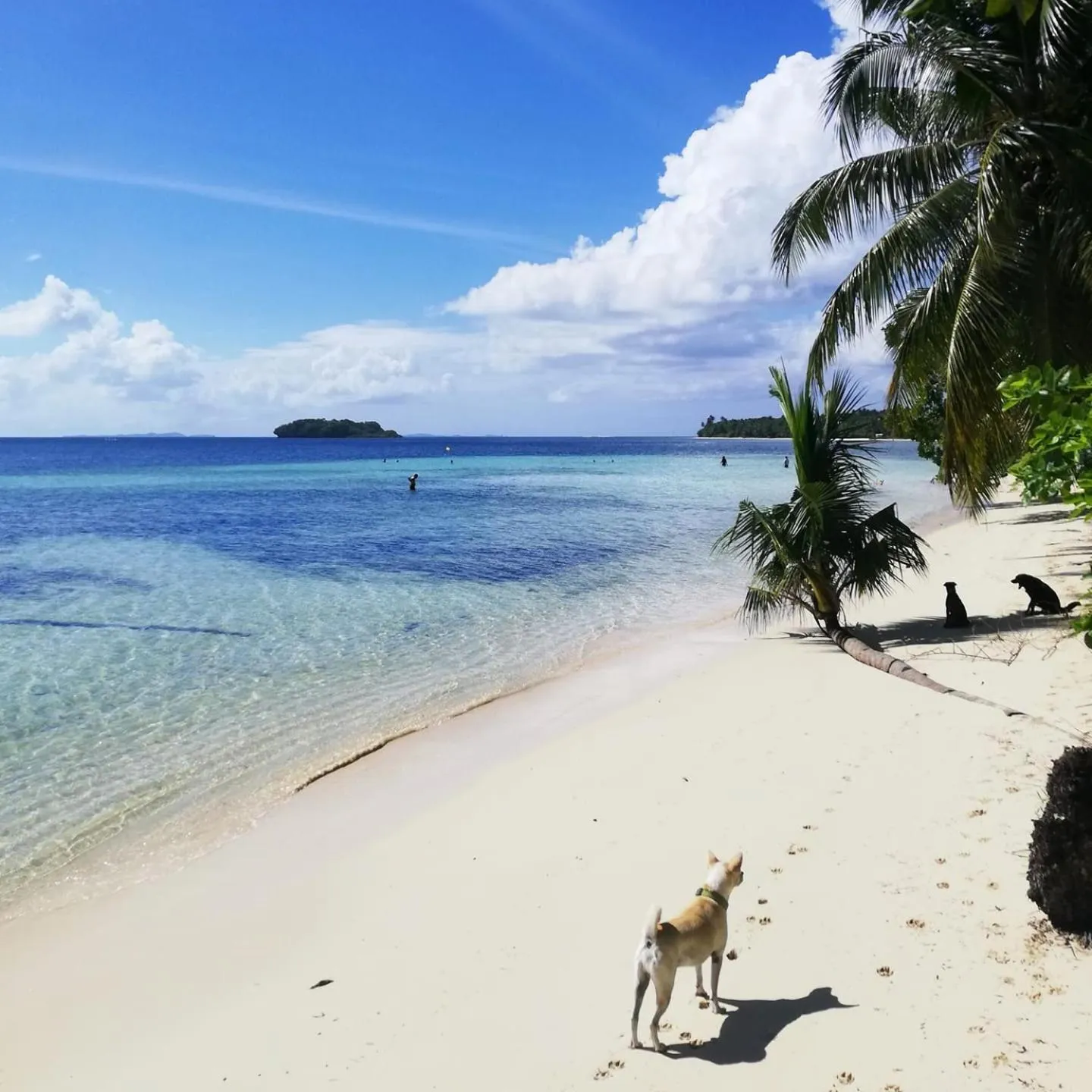 Beach in Ferra Resort Siargao