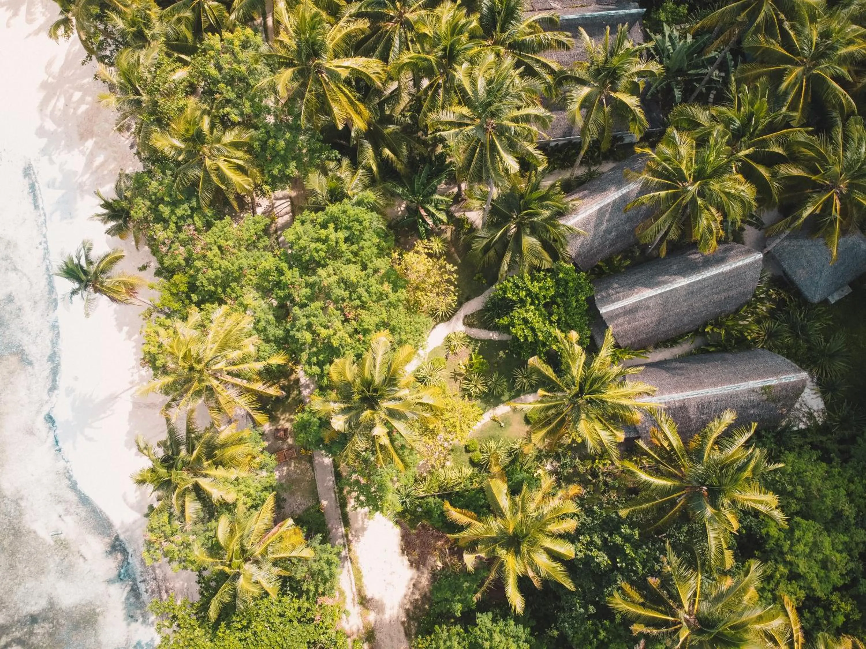 Garden in Ferra Resort Siargao