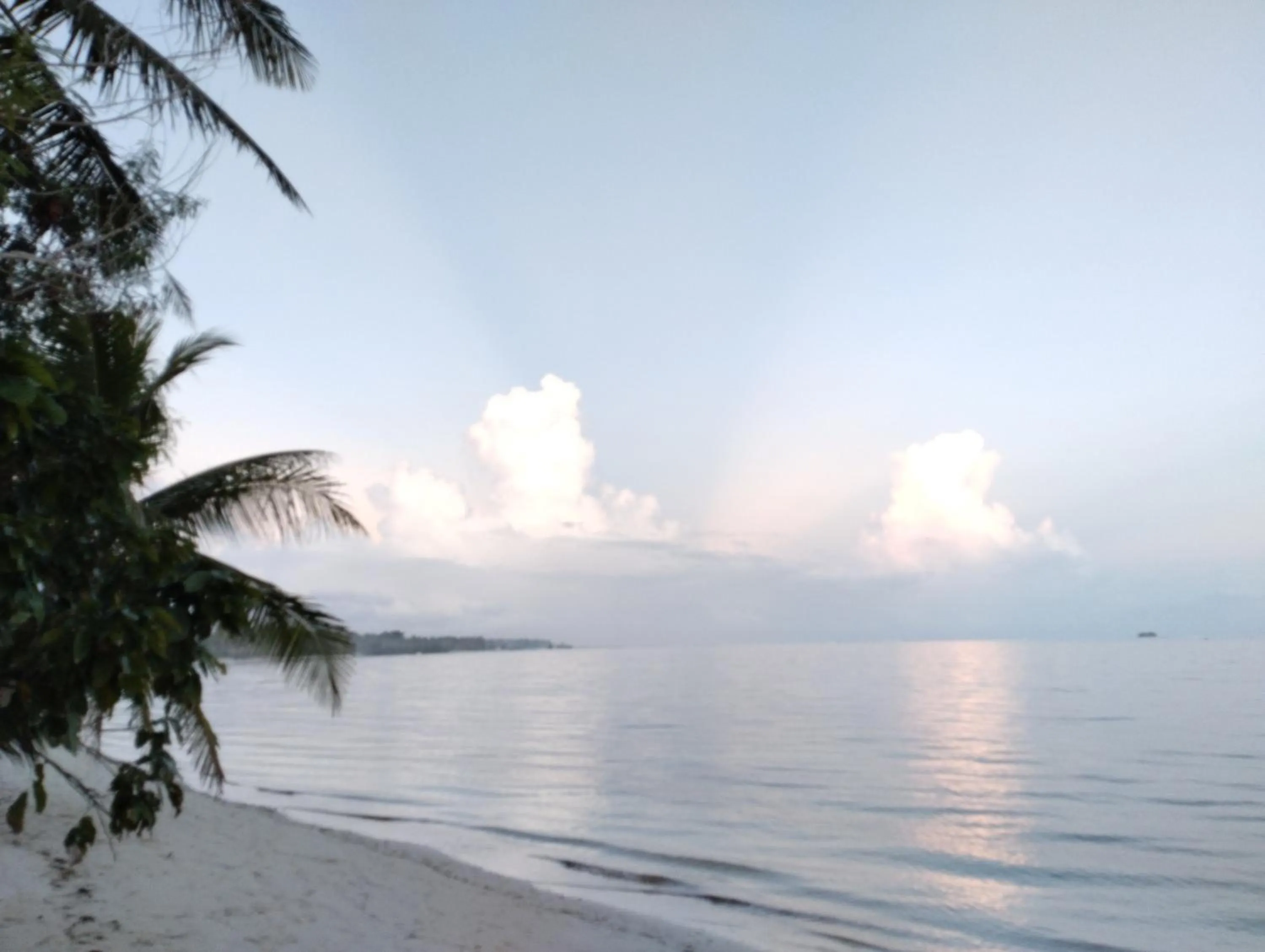 Garden in Ferra Resort Siargao