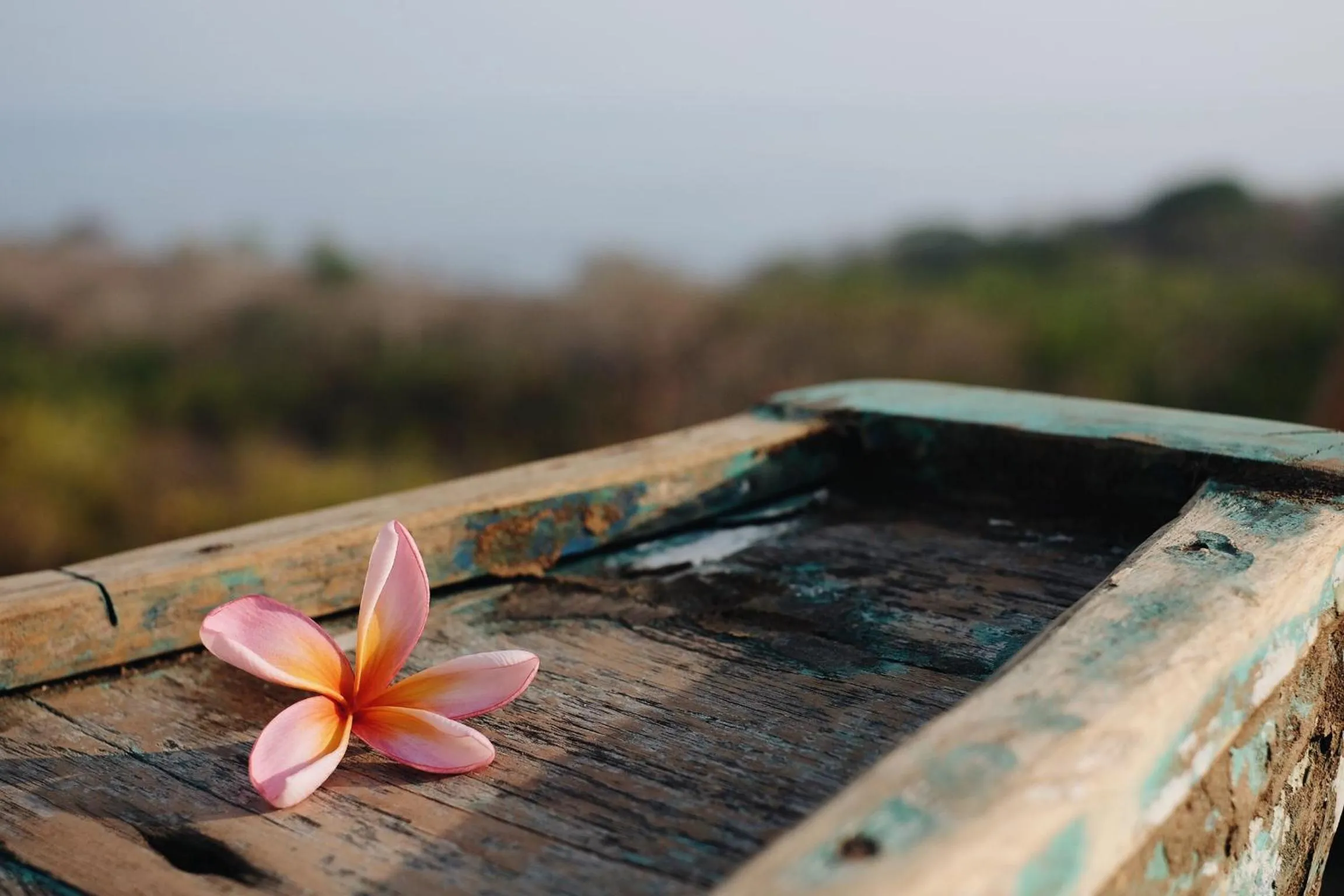 Decorative detail in Vivo Villas - Villa Vivo