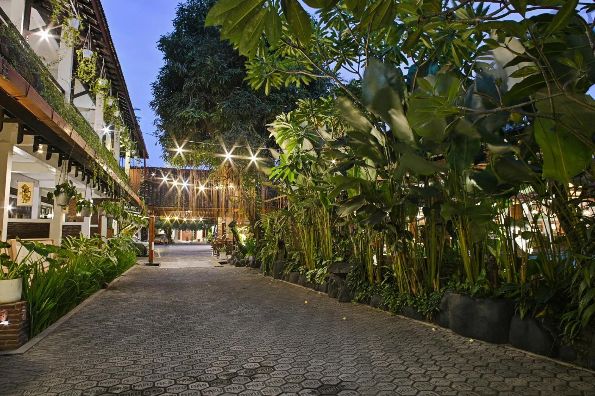 Garden view in Paku Mas Hotel