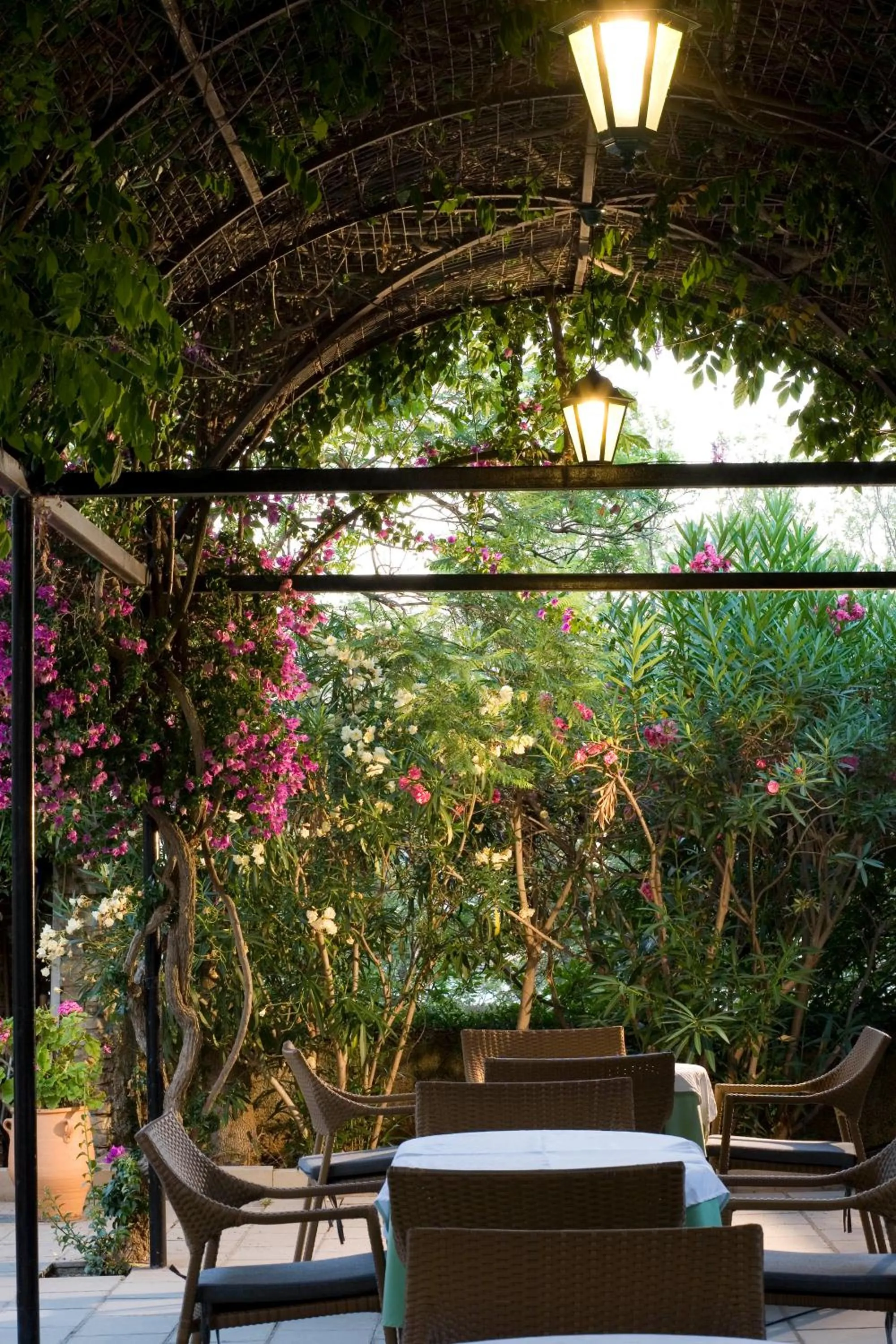 Restaurant/places to eat in Bella Venezia