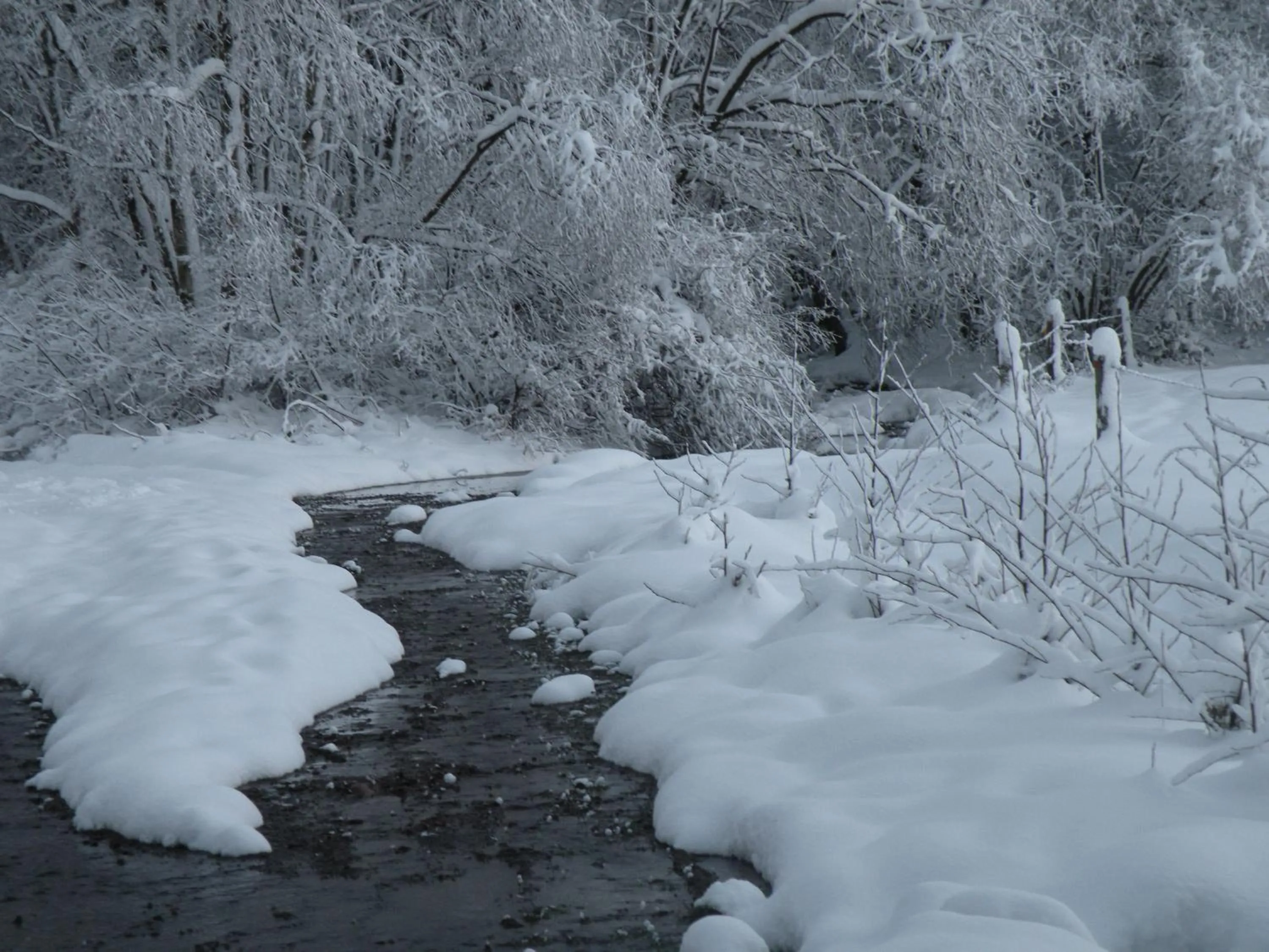 Natural landscape in Du Coté de chez Jeanne, Suite