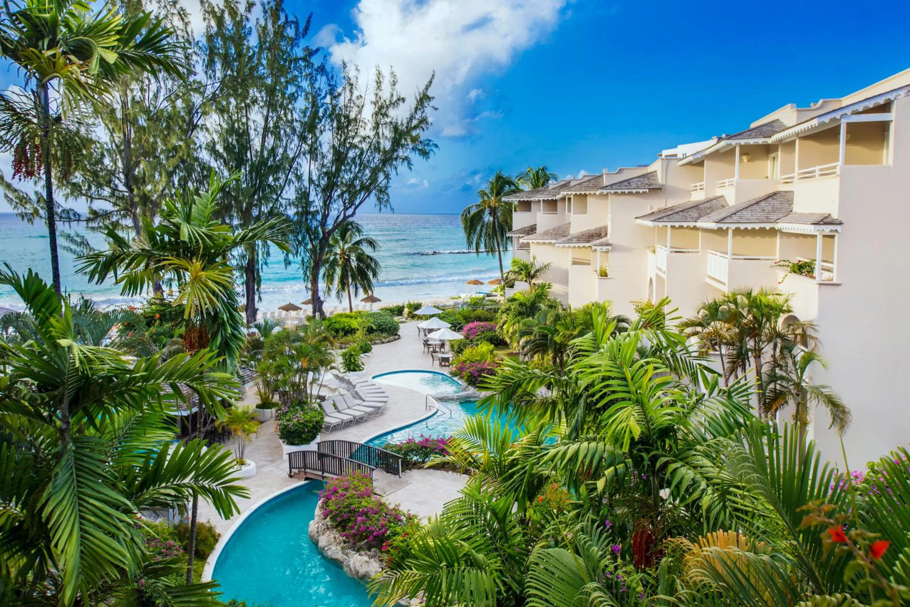Bird's eye view in Bougainvillea Barbados
