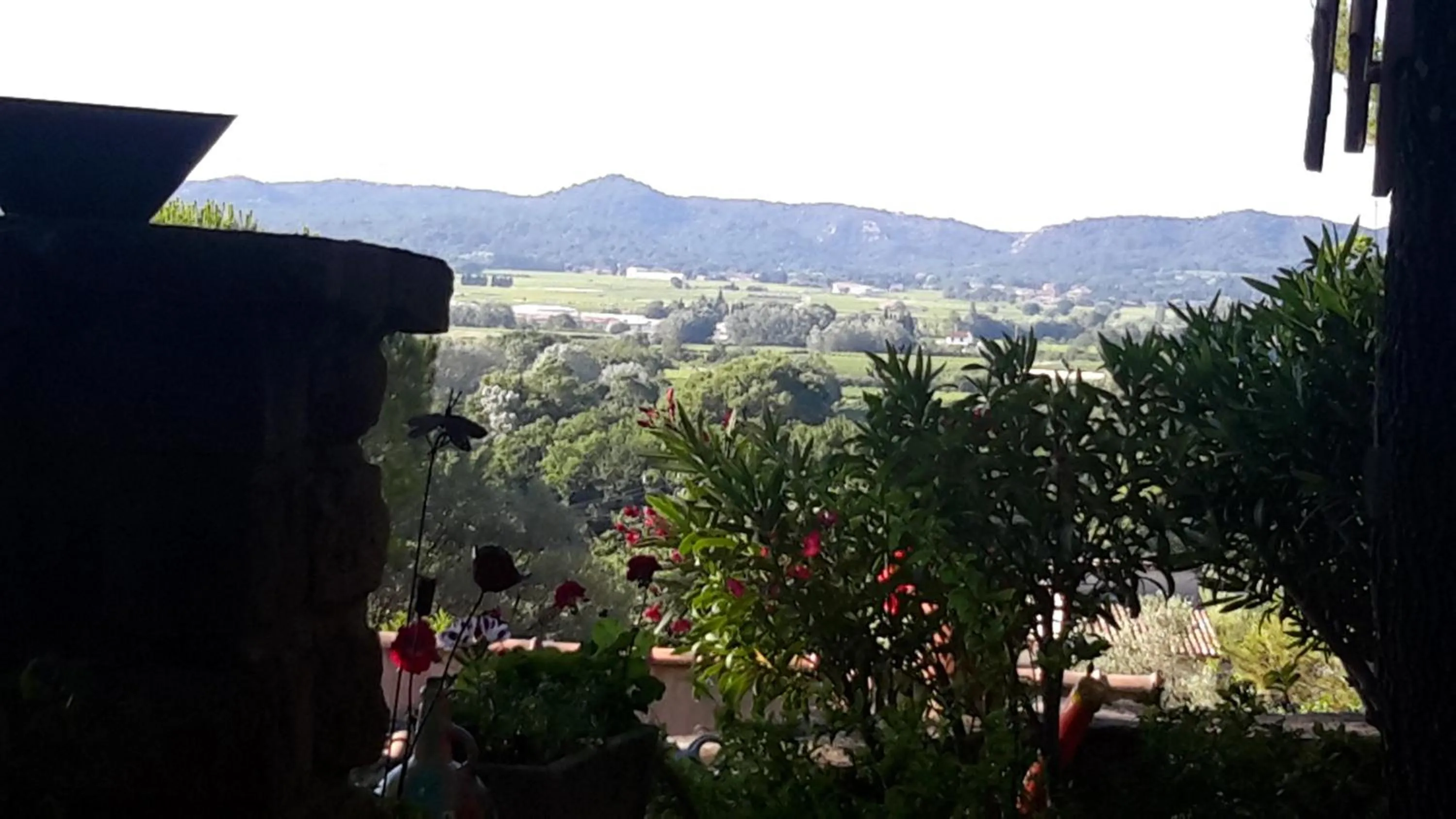 Garden view in Om'Sleeping B&B