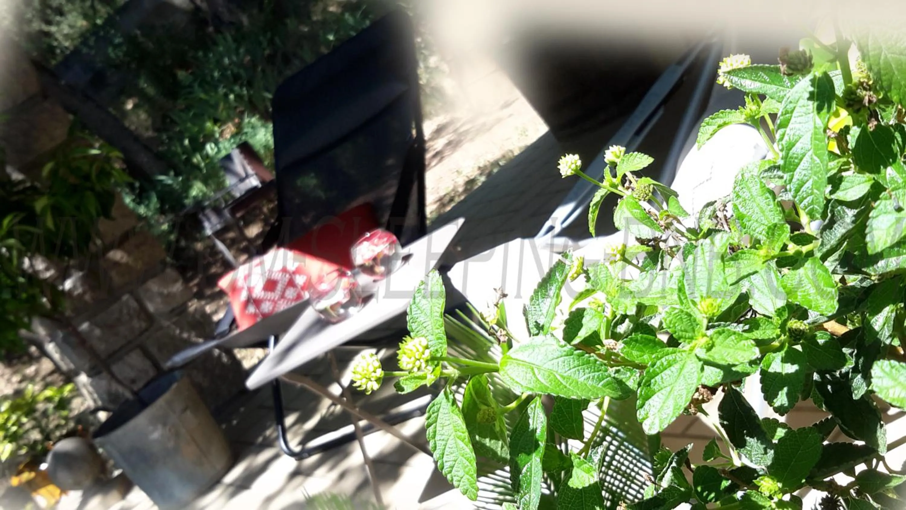 Patio in Om'Sleeping B&B