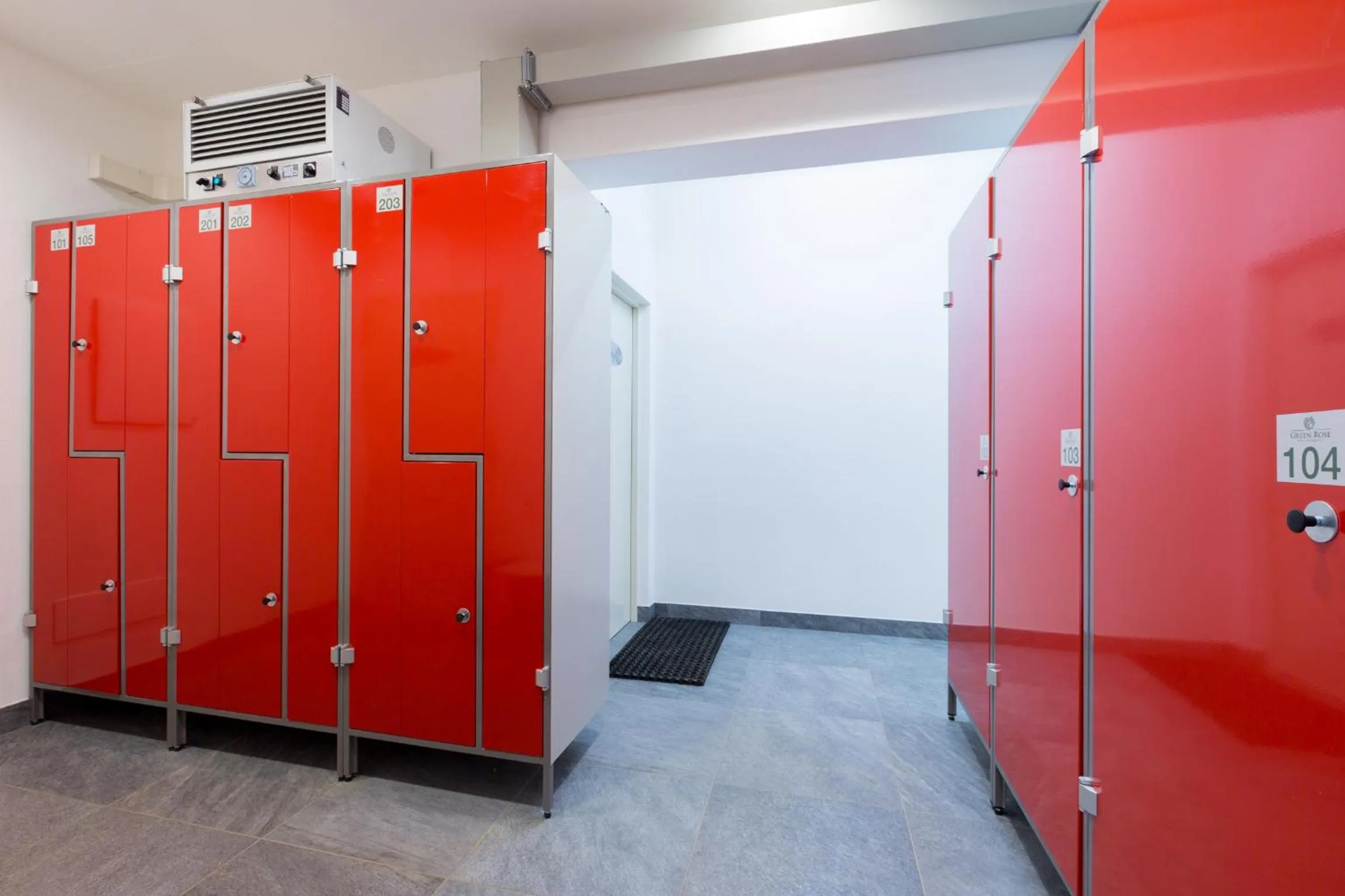 Skiing in Green Rose