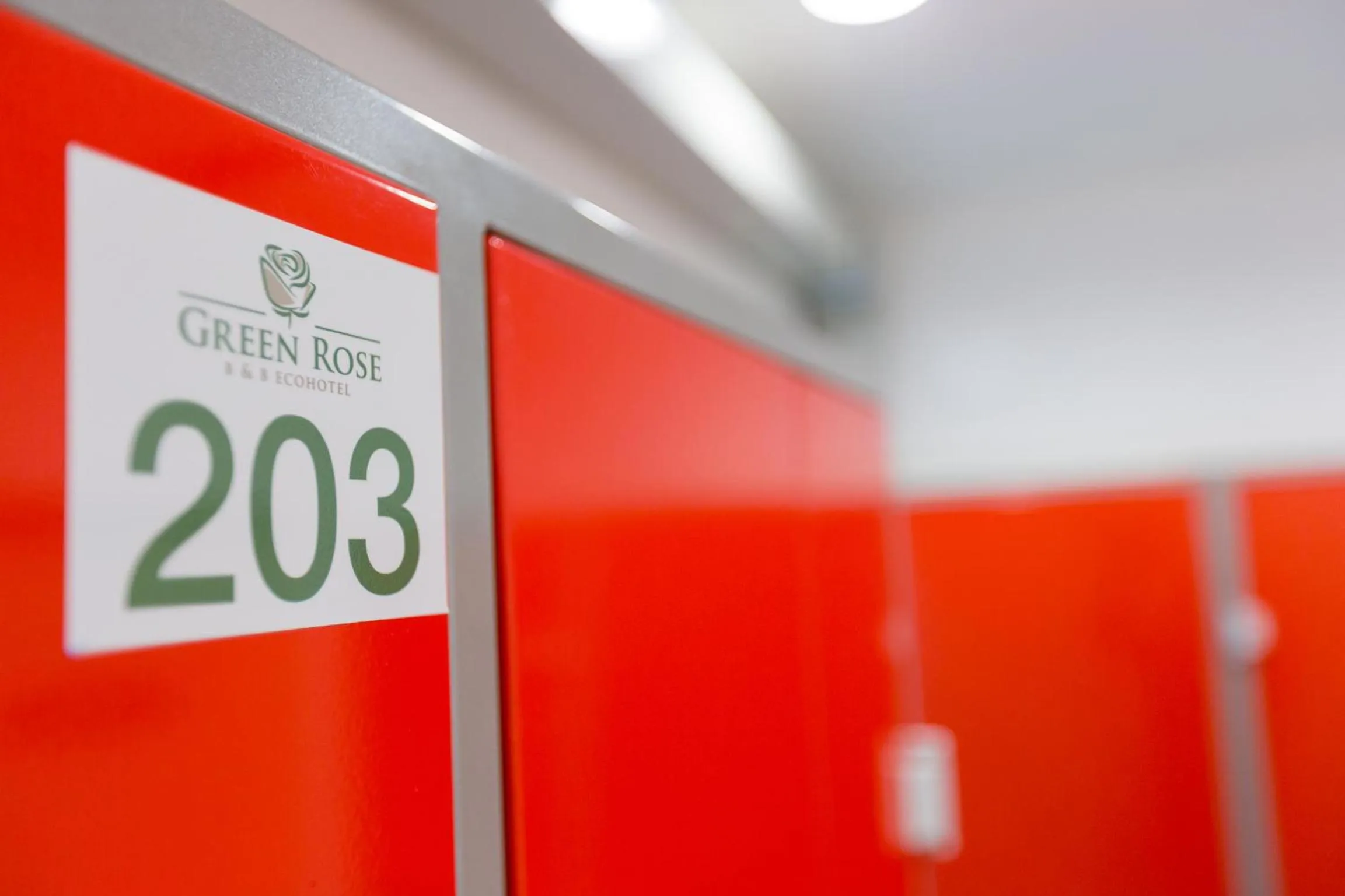 Skiing in Green Rose