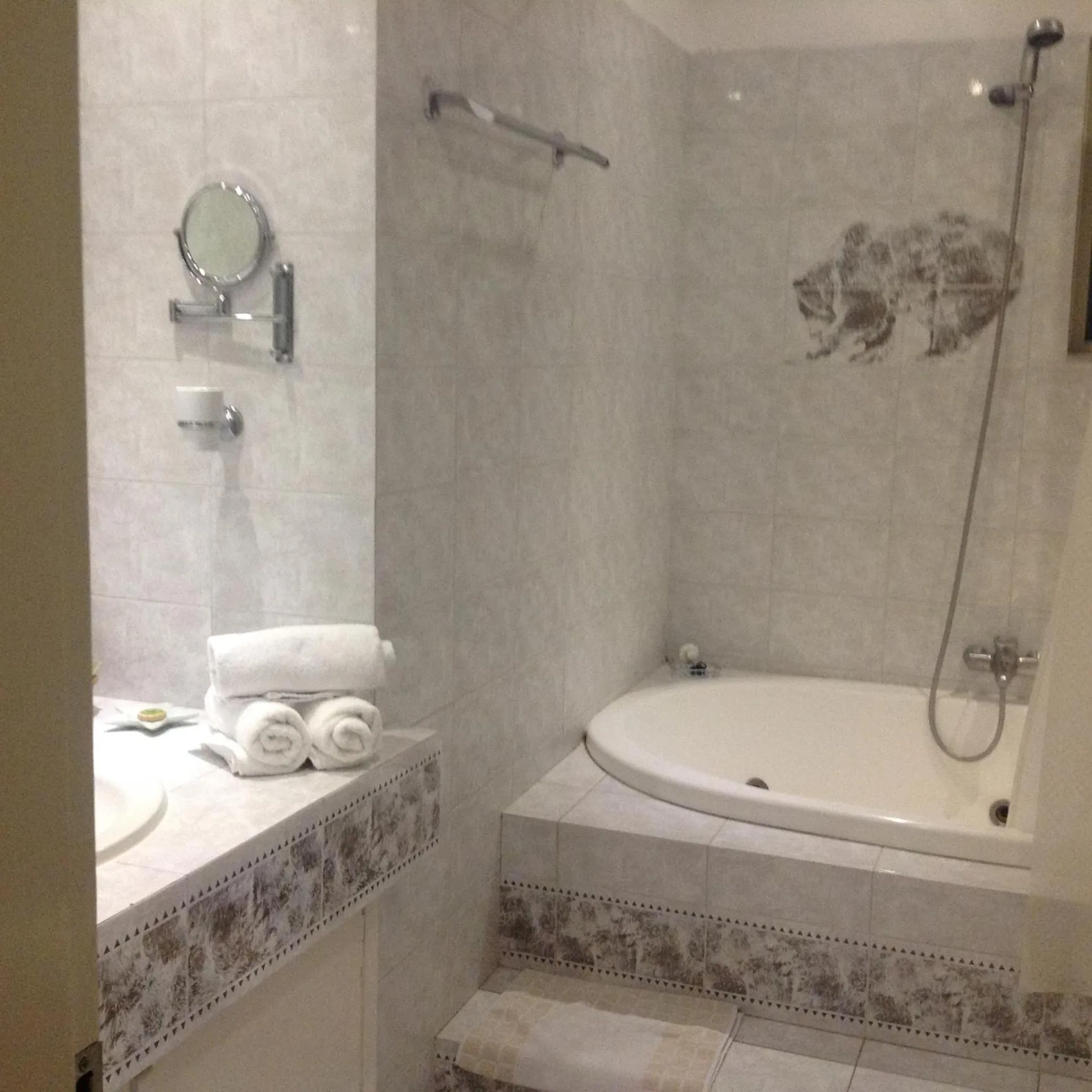 Shower in Saga Hotel