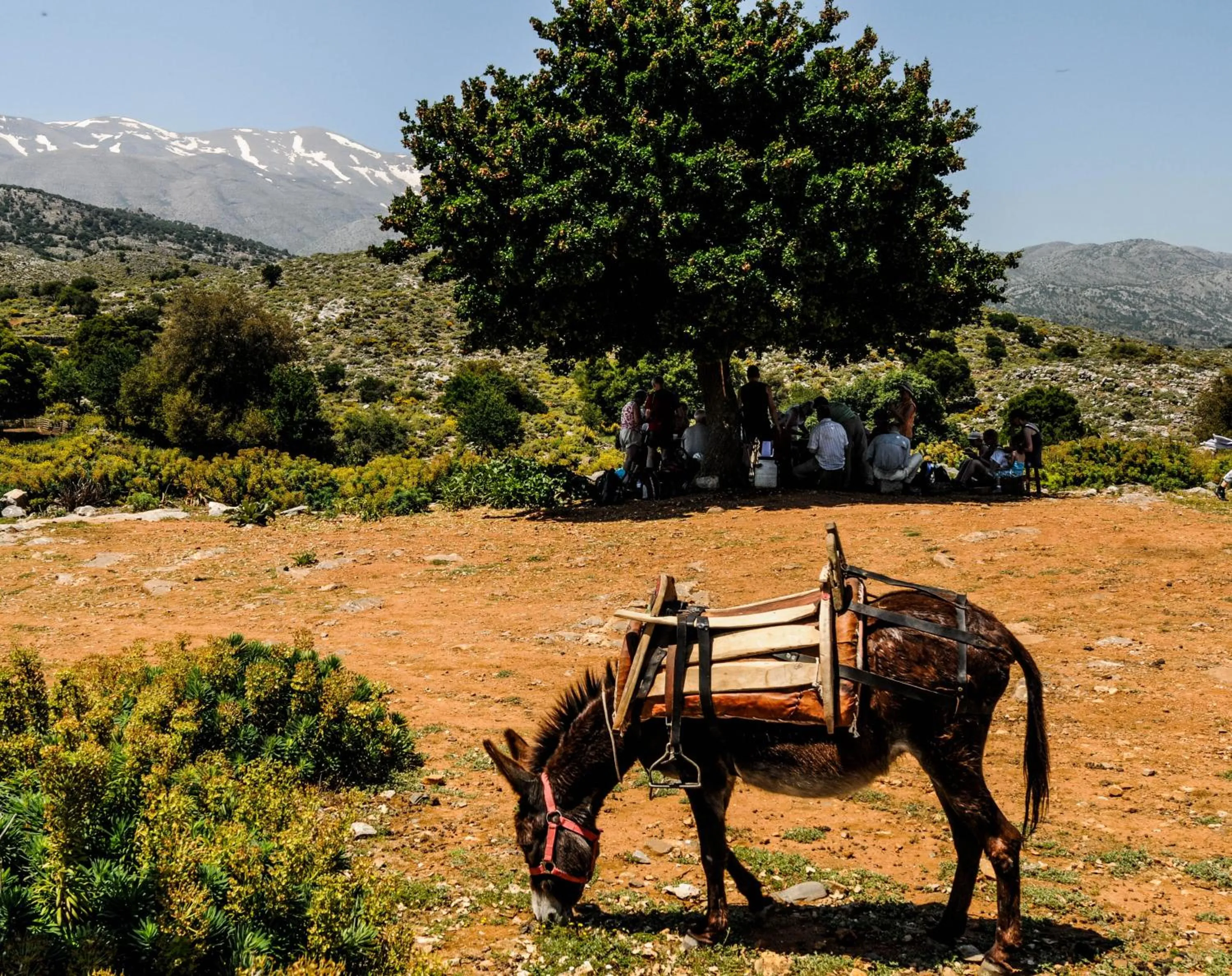 Other in Enagron Ecotourism Village