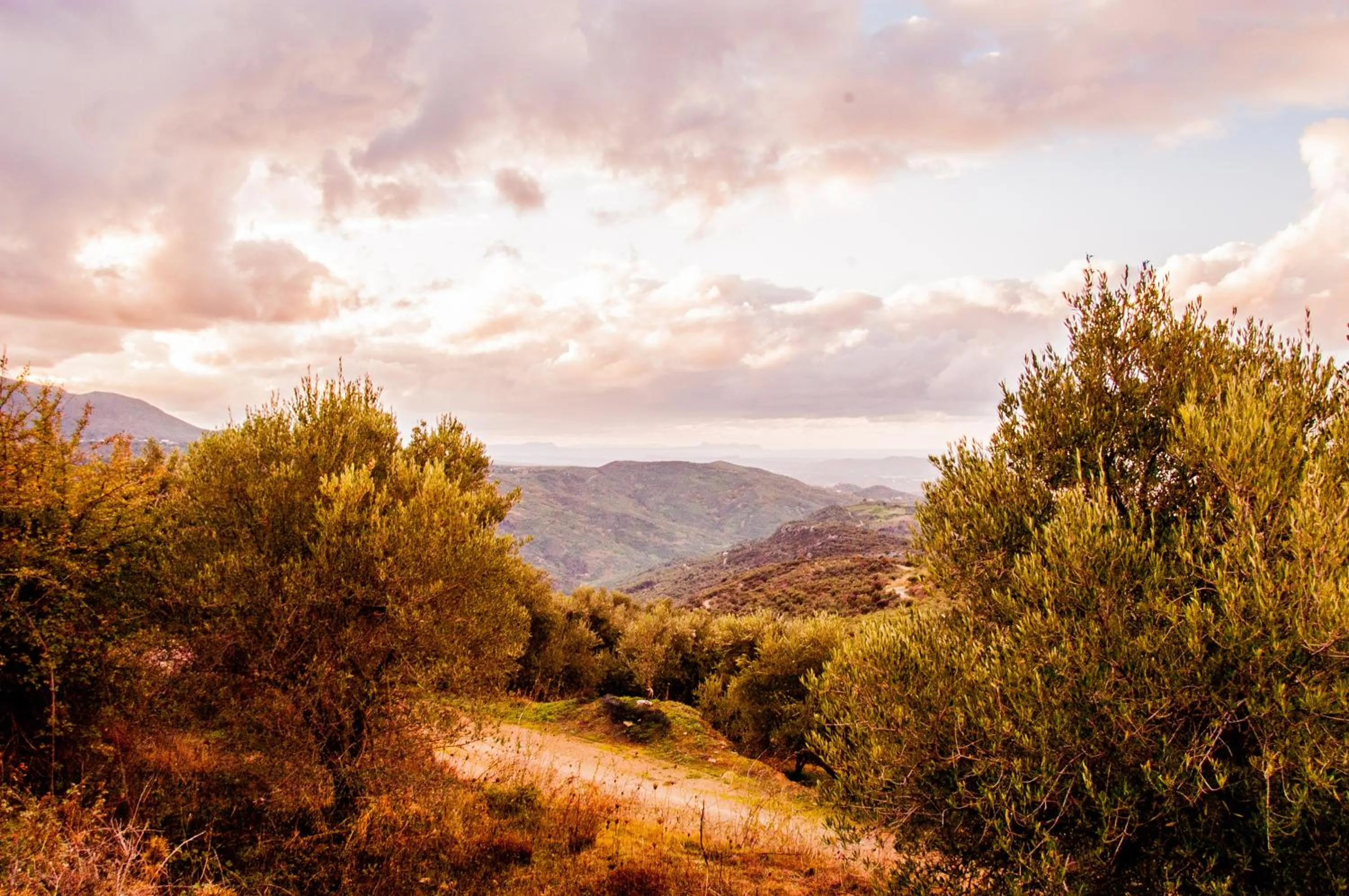 View (from property/room) in Enagron Ecotourism Village