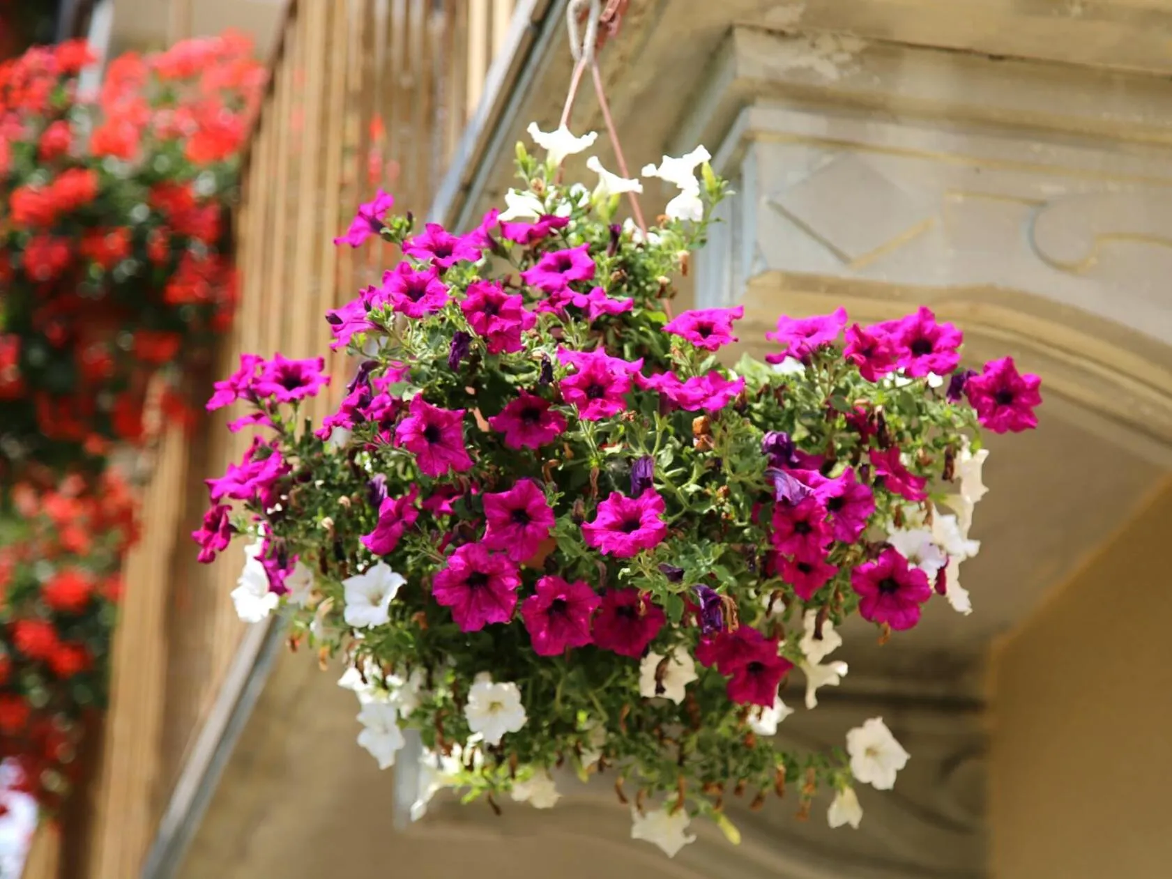 Summer in La Bella Dormiente B&B