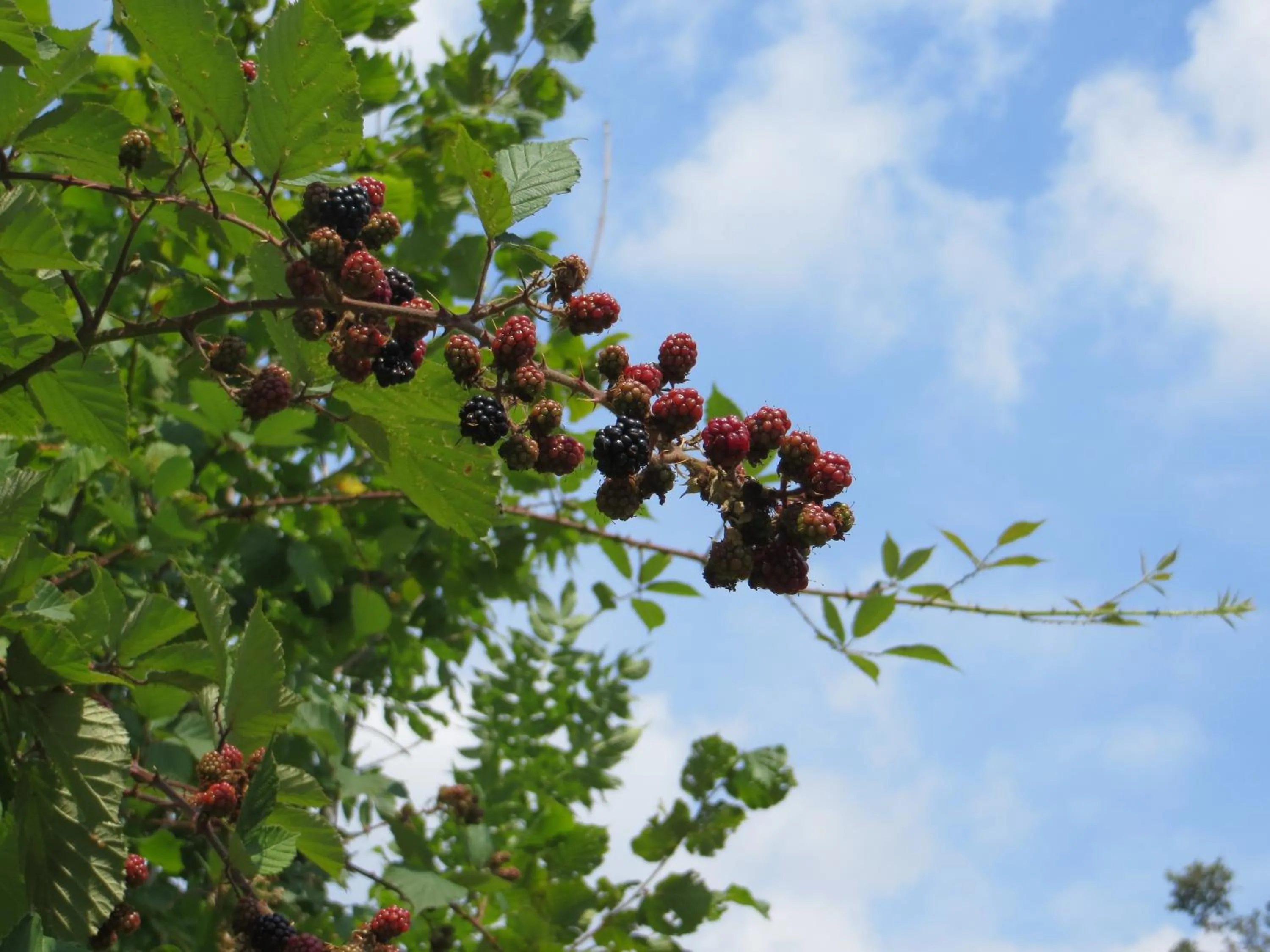 Property building in La Bella Dormiente B&B