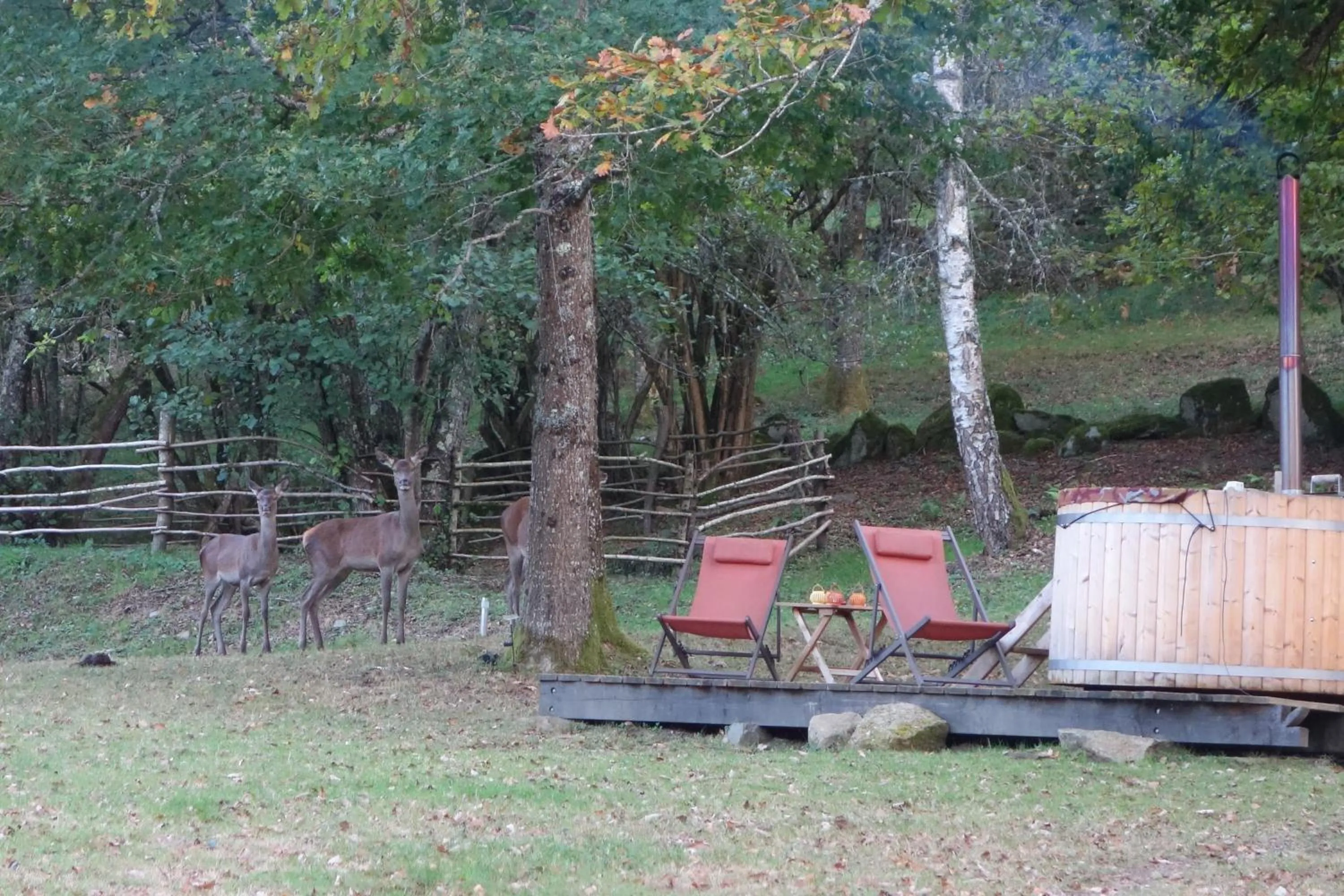 Spa and wellness centre/facilities in Les Cabanes De Pyrene