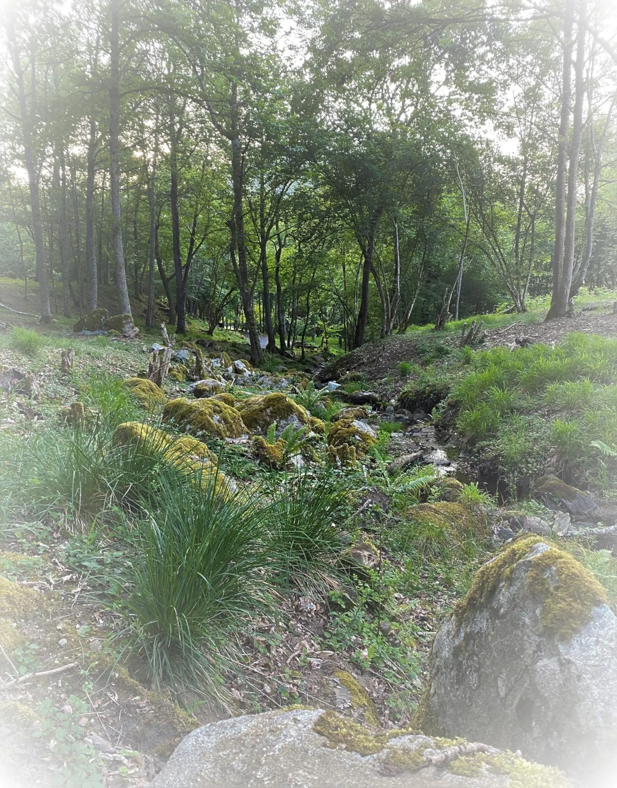 Natural landscape in Les Cabanes De Pyrene