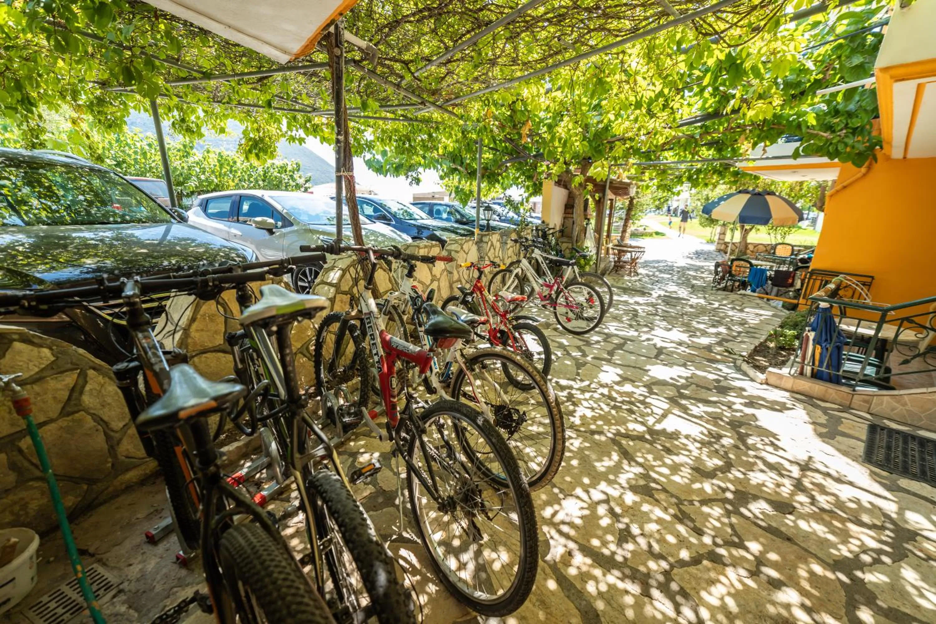 Activities in Hotel Odeon