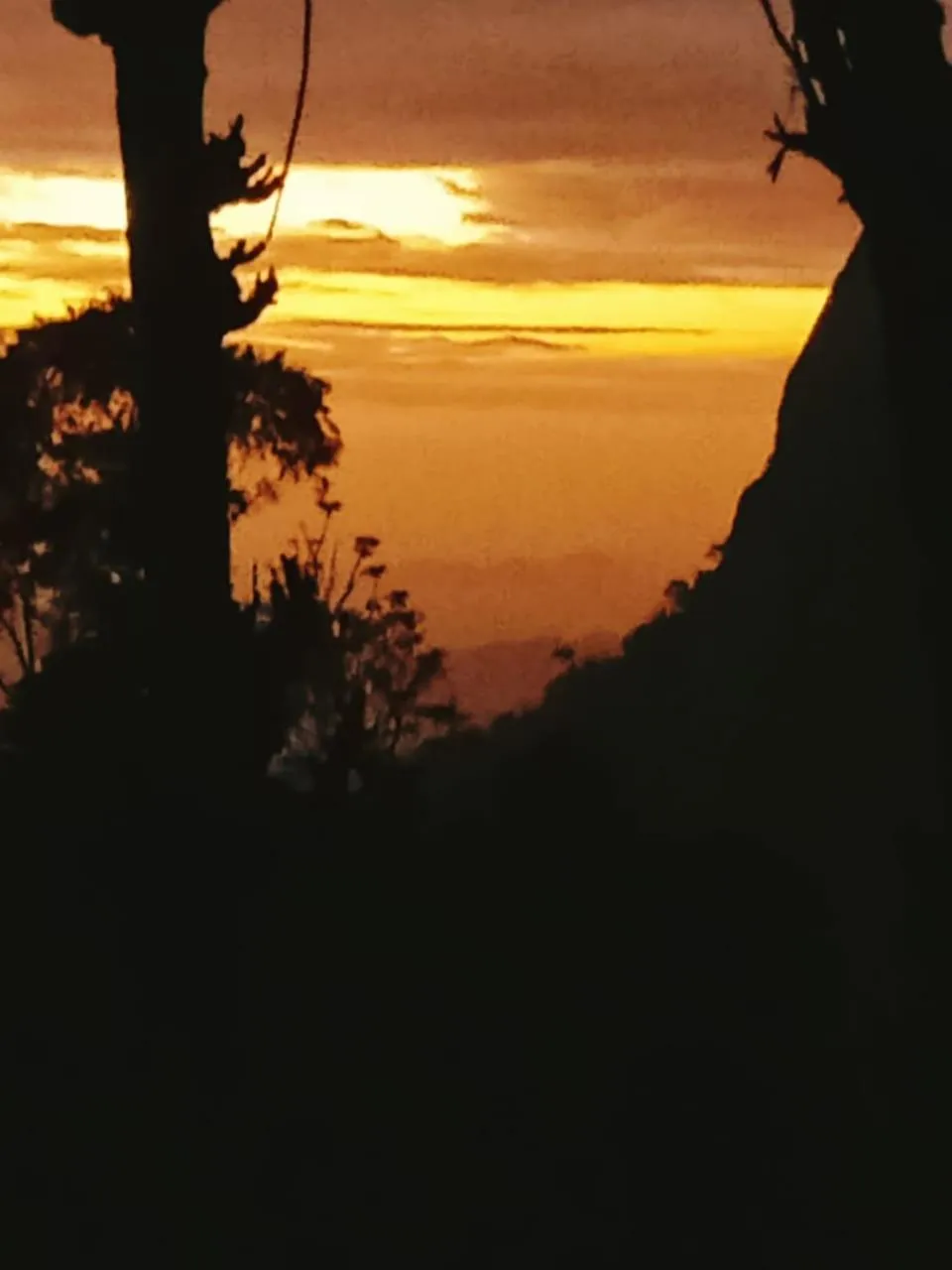 Maple home stay and cottage