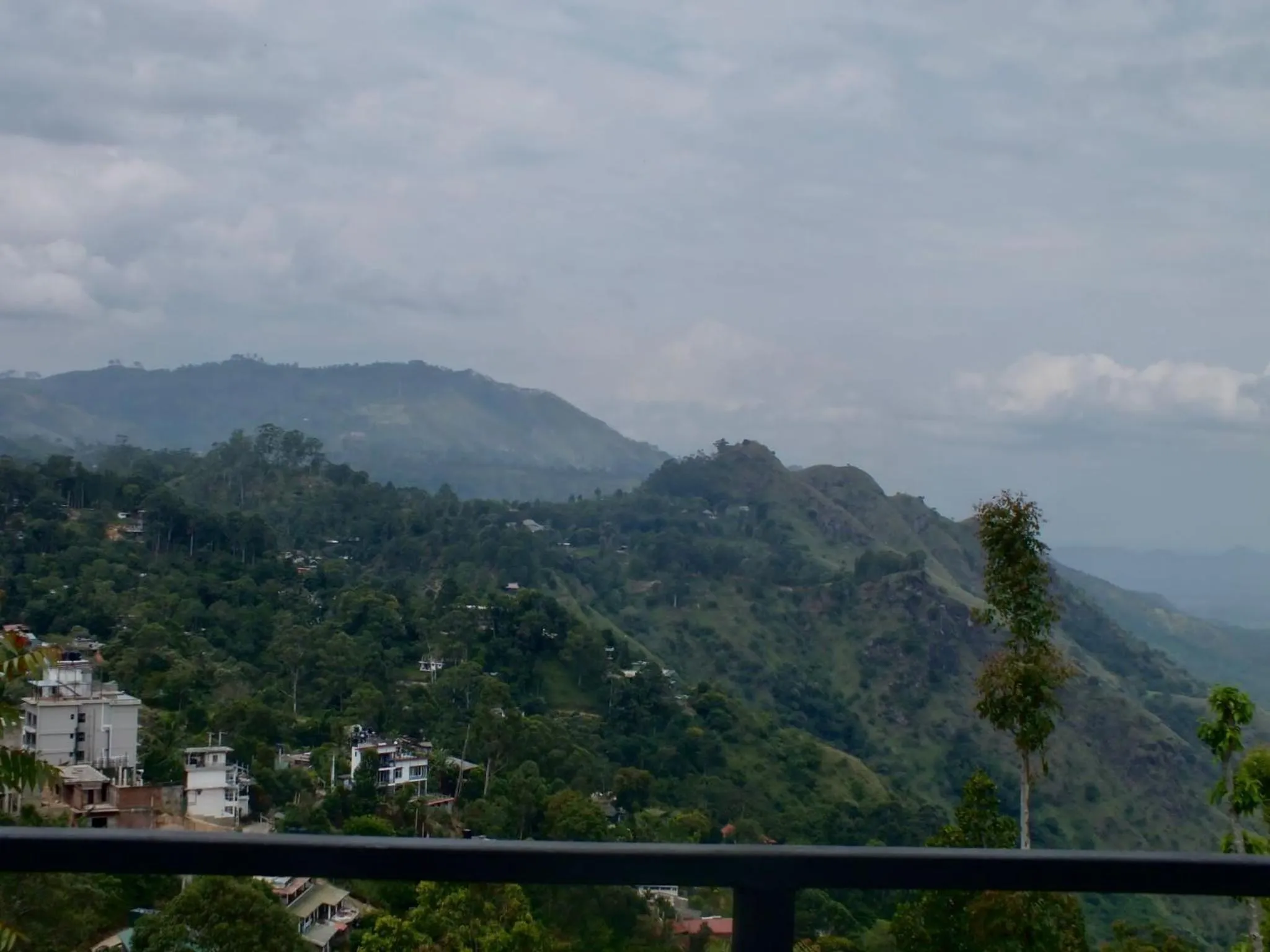 Maple home stay and cottage