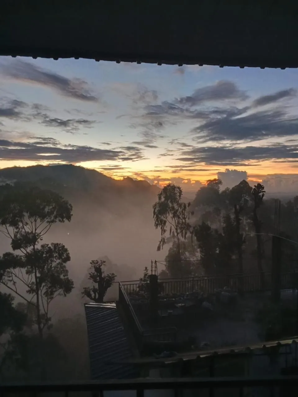 Maple home stay and cottage