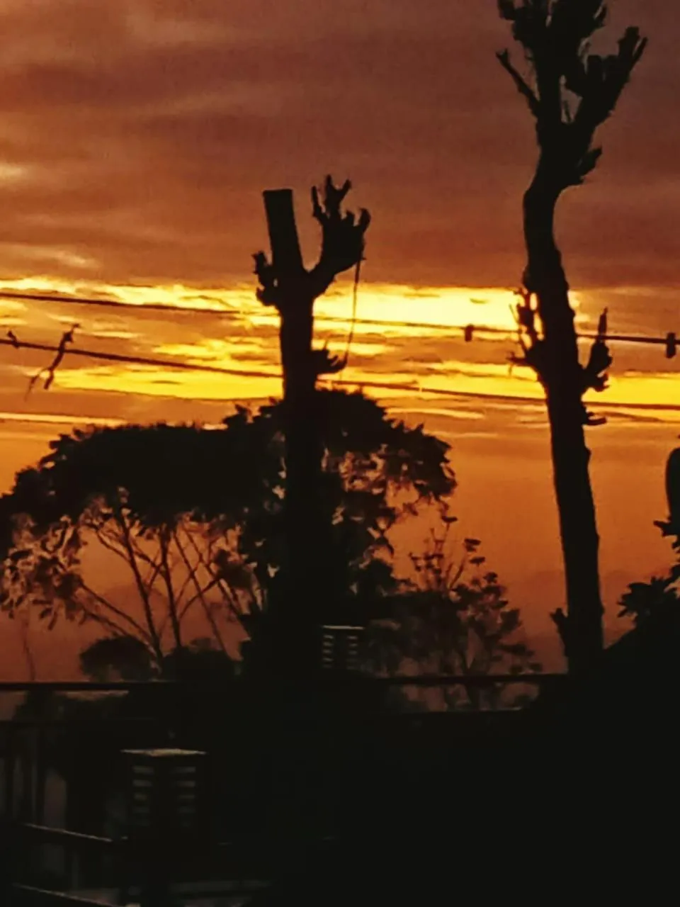 Maple home stay and cottage