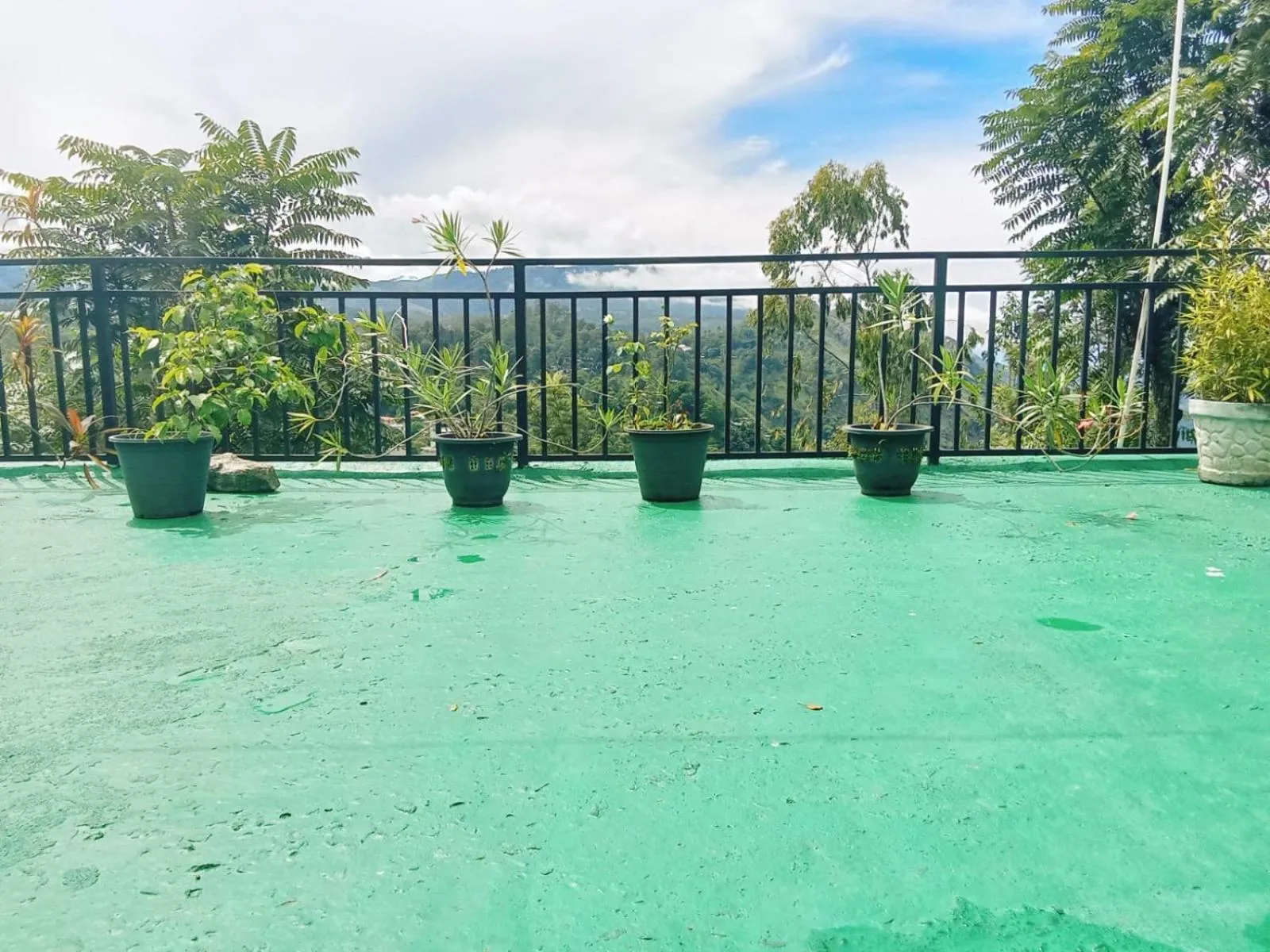 Maple home stay and cottage