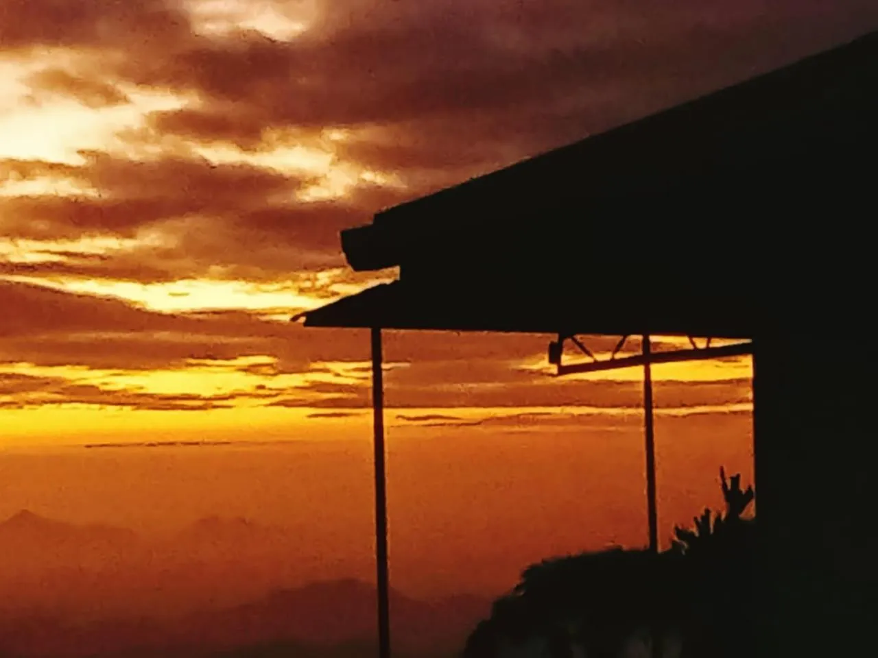 Maple home stay and cottage