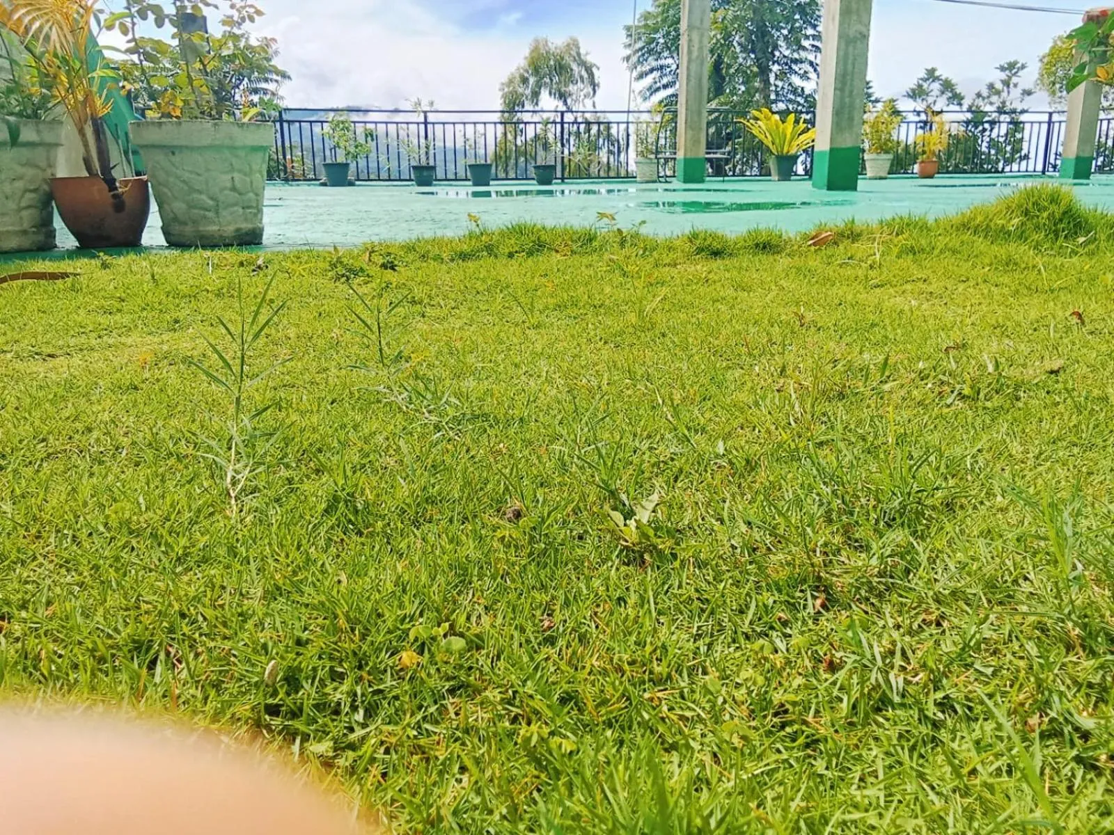 Maple home stay and cottage