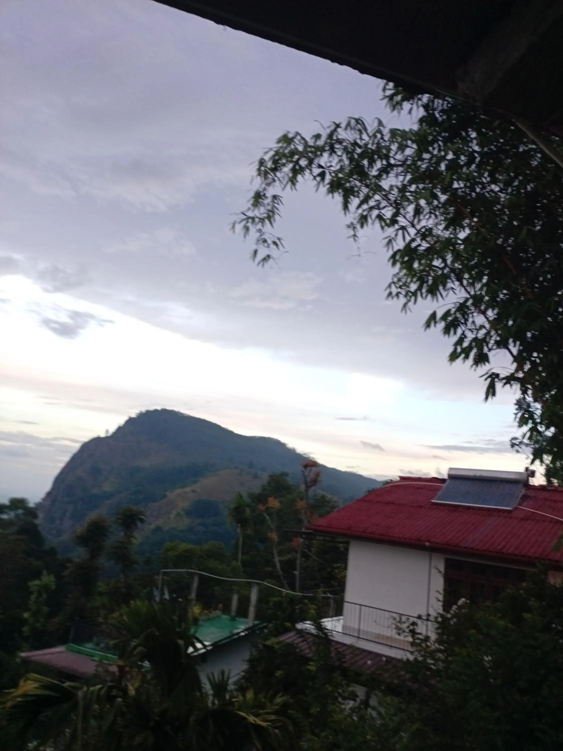 Maple home stay and cottage