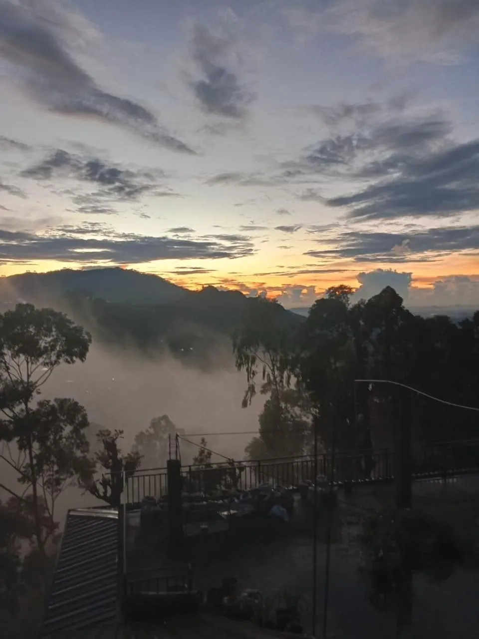 Maple home stay and cottage