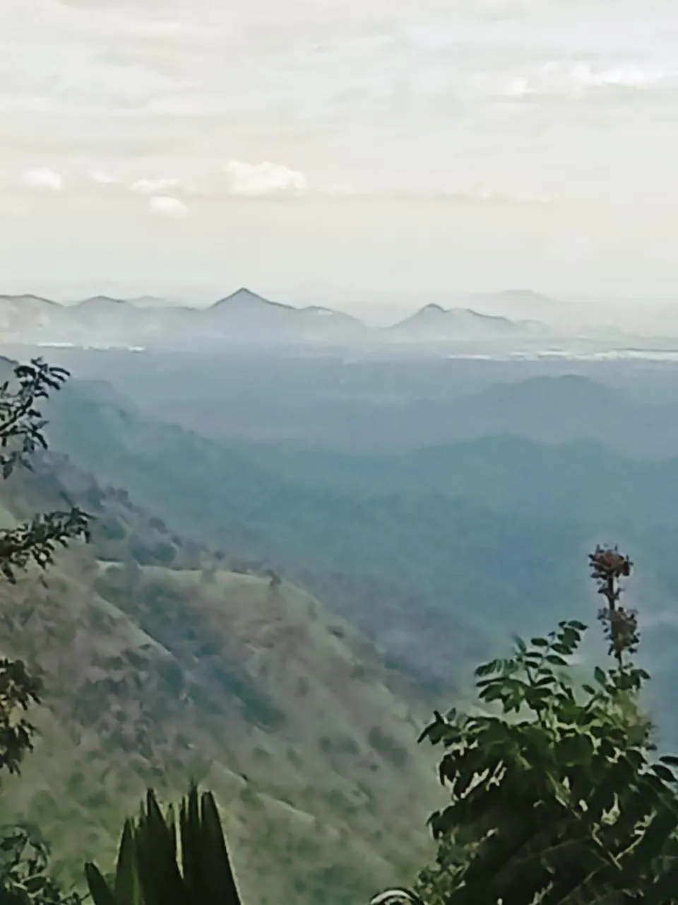 Maple home stay and cottage