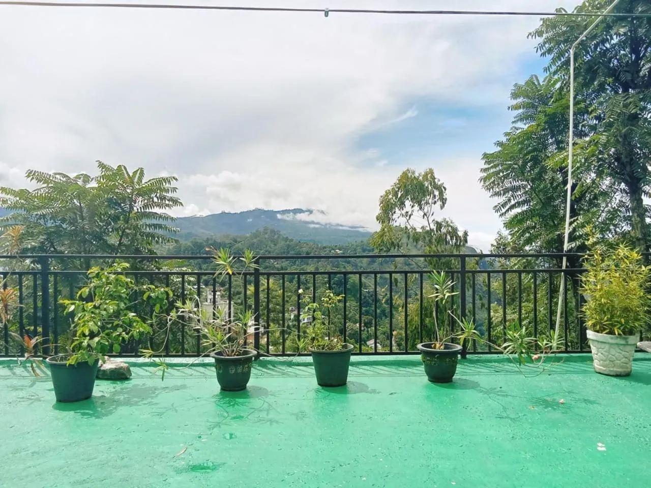 Maple home stay and cottage