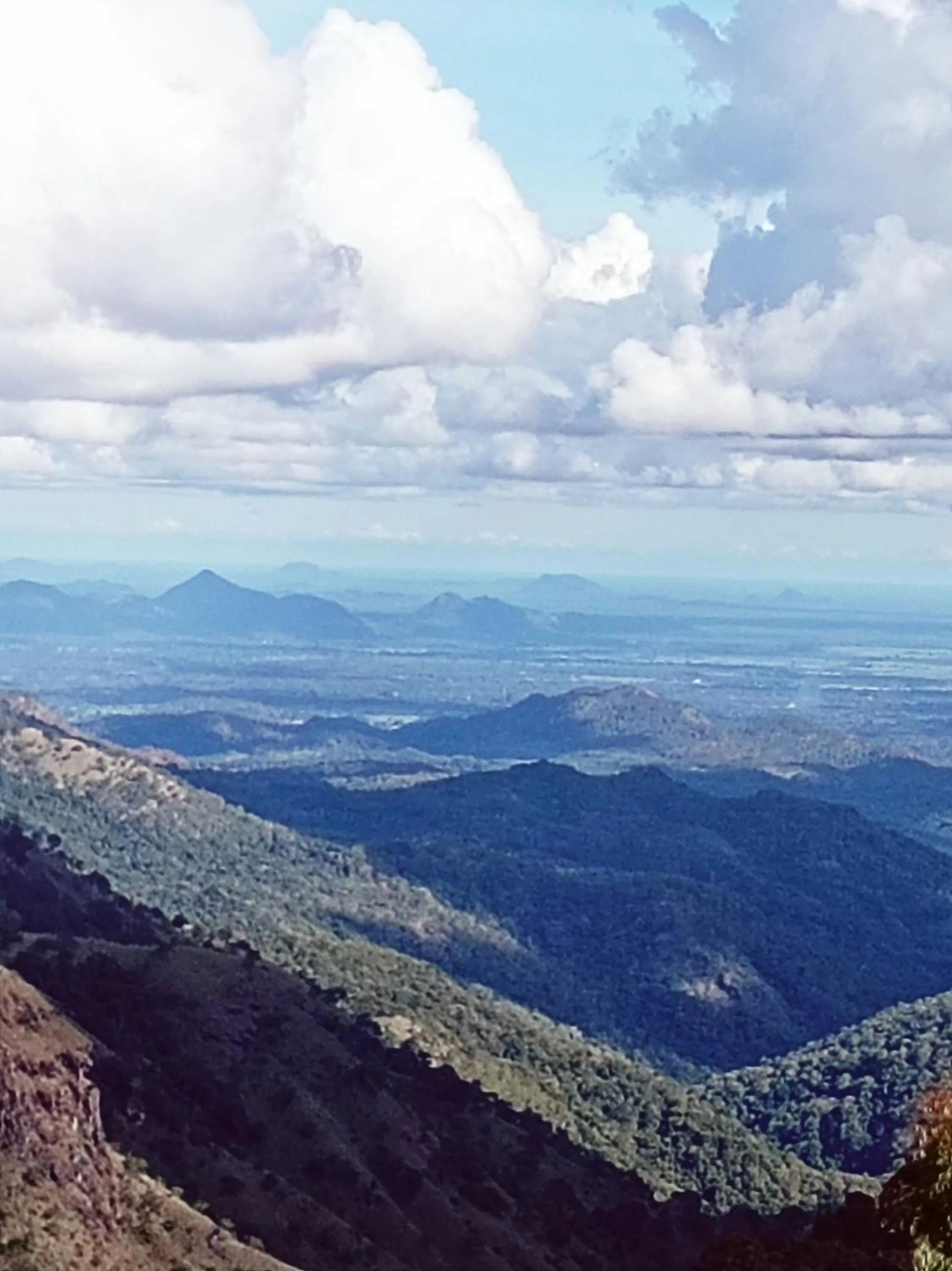 Maple home stay and cottage