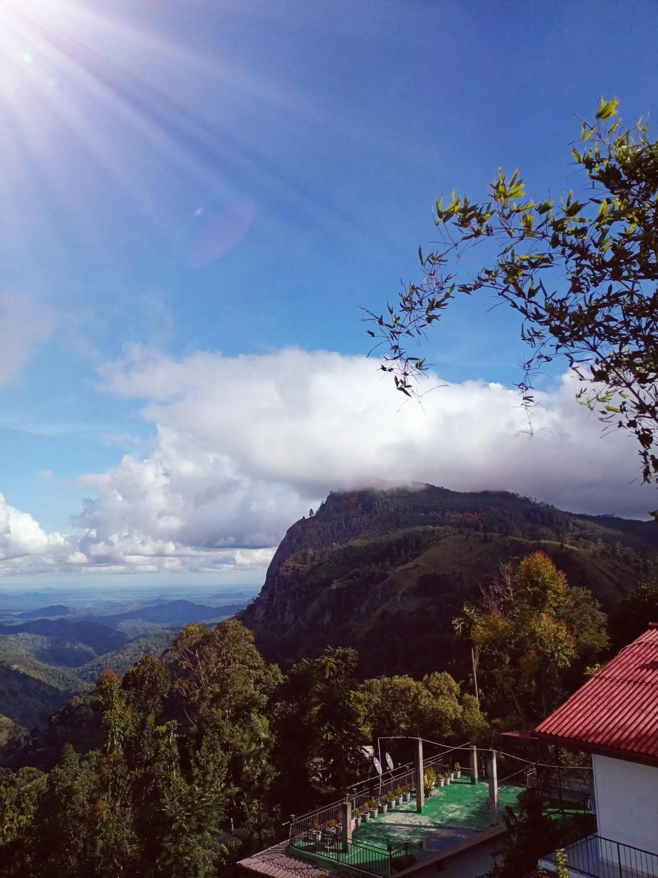 Maple home stay and cottage