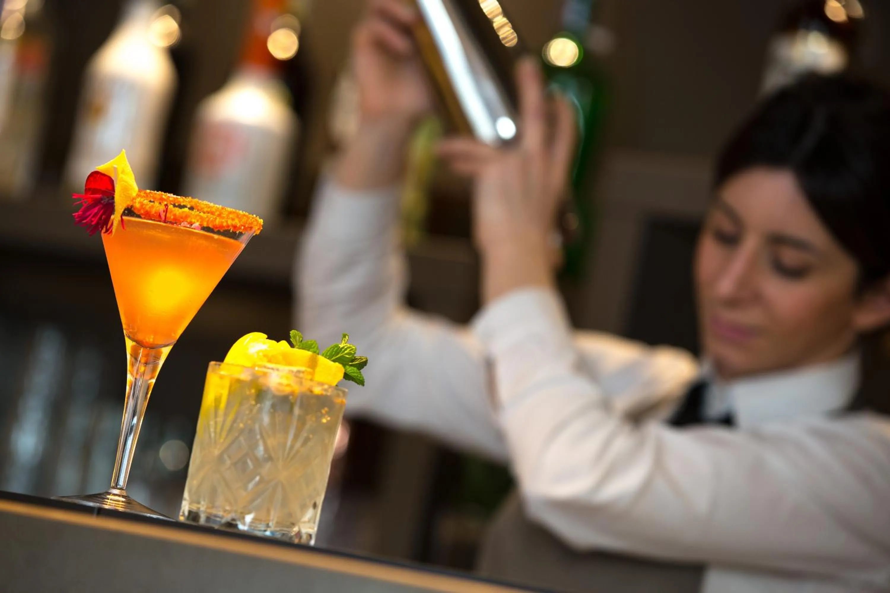 Drinks in Airone City Hotel