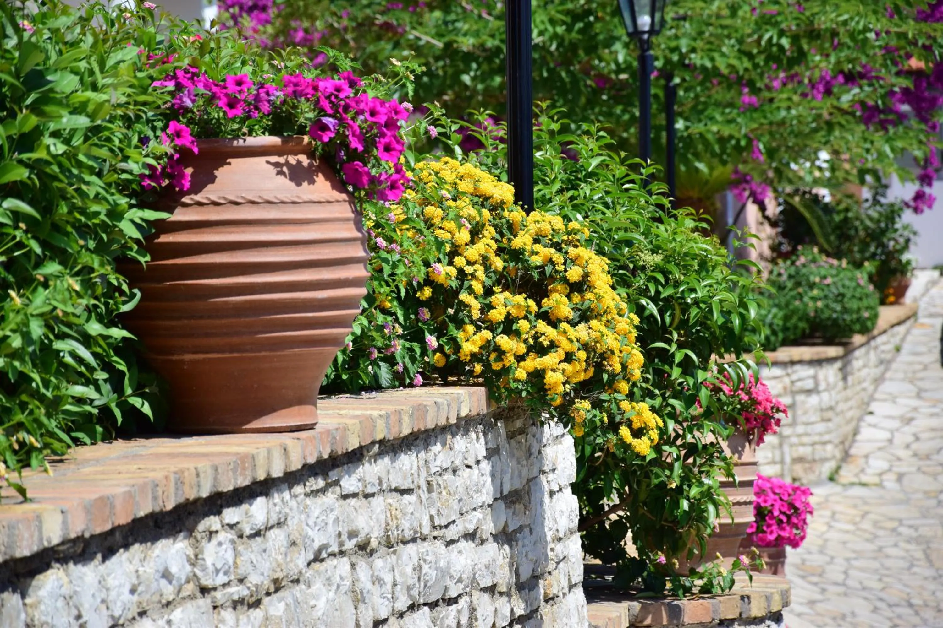 Garden in Lido Corfu Sun Hotel 4 Stars All-inclusive