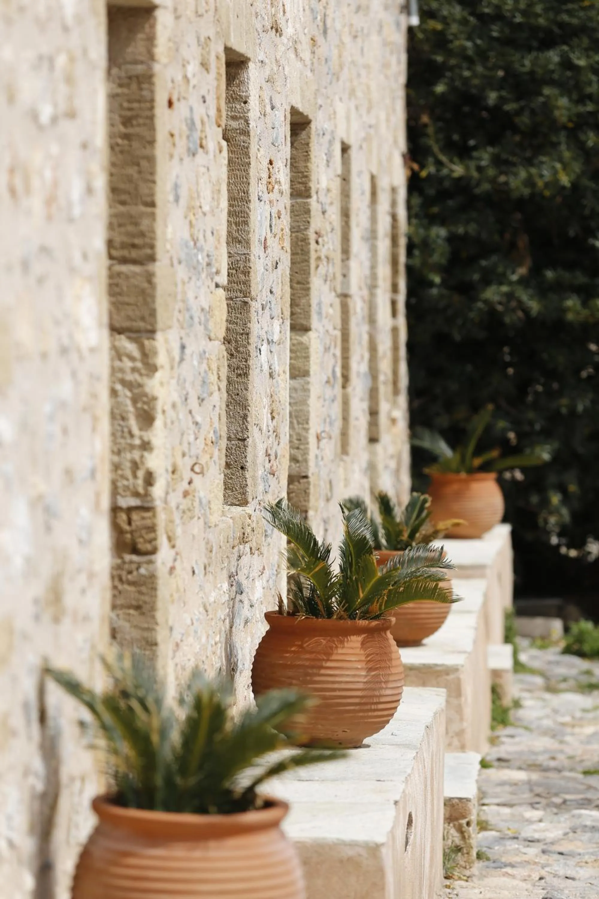 Day in Guesthouse Kellia