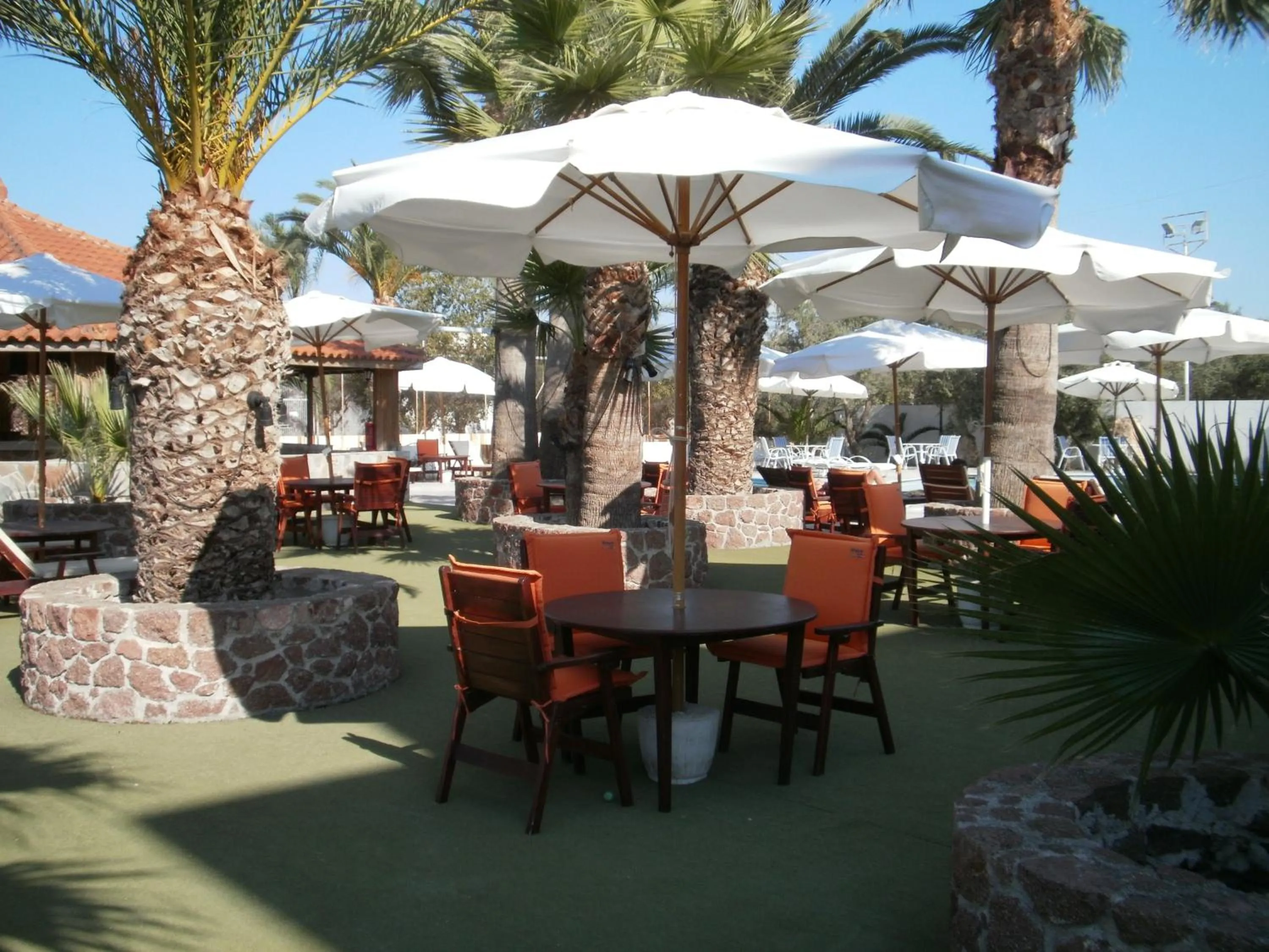 Garden in Hotel Klonos - Kyriakos Klonos