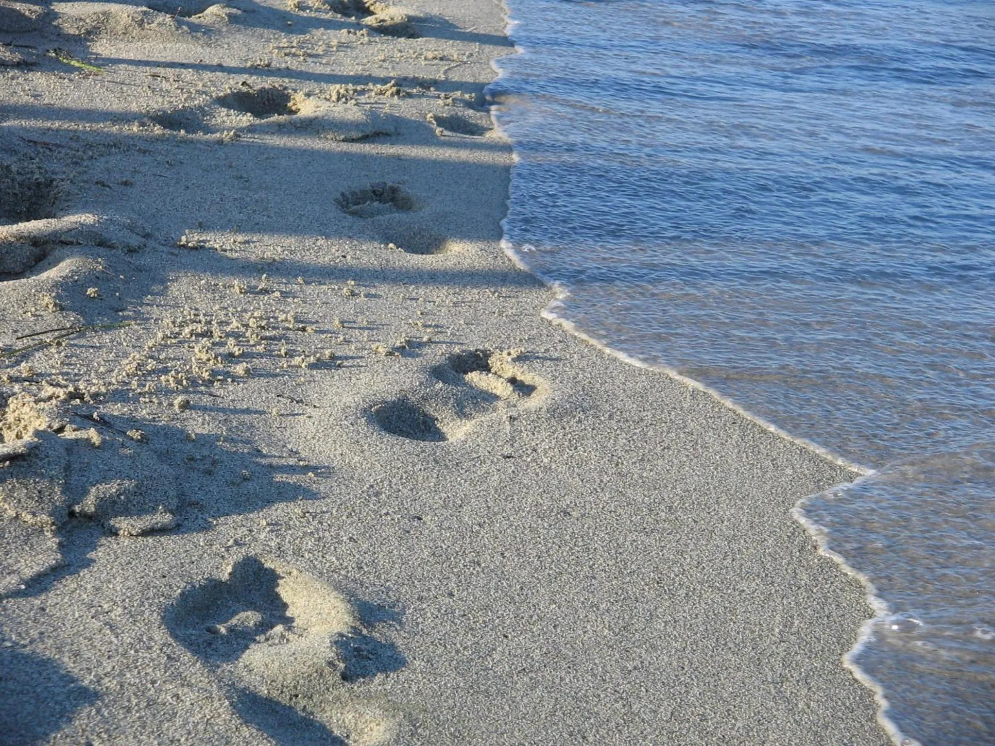 Bathroom in Hotel White Rose Beach