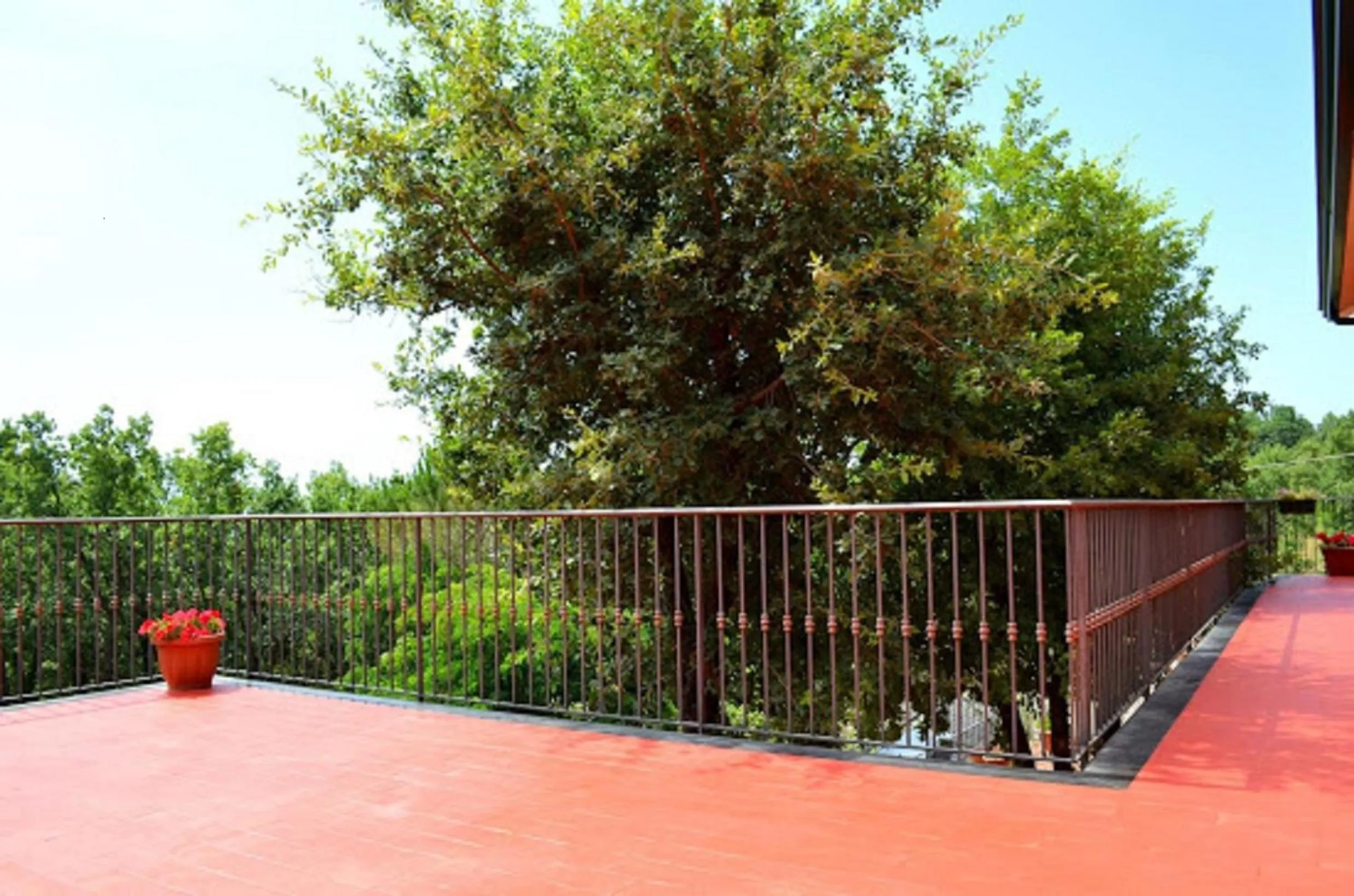 Garden view in B&B Le Tre Rose Di Maria