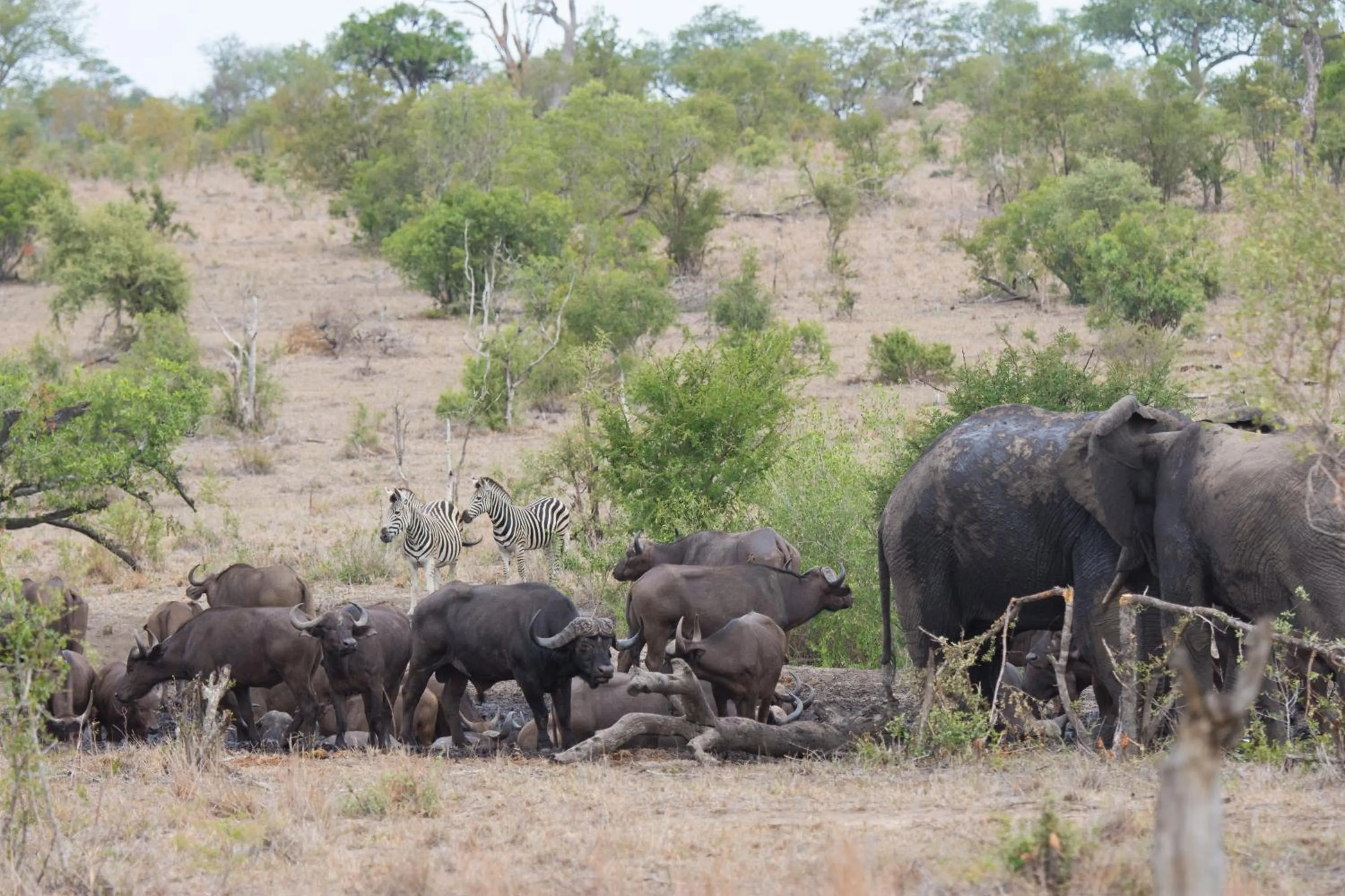 View (from property/room) in Buffelshoek Tented Camp