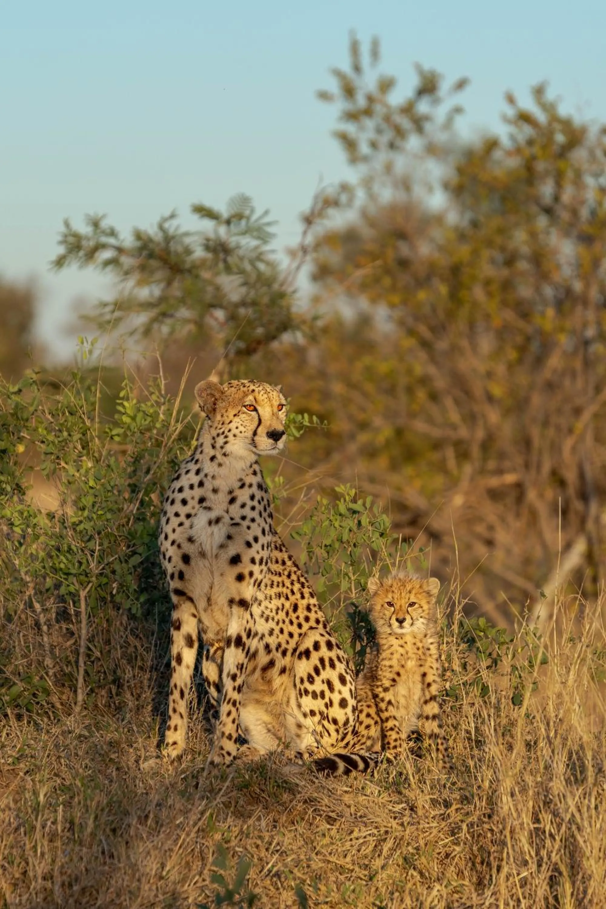 Activities in Buffelshoek Tented Camp