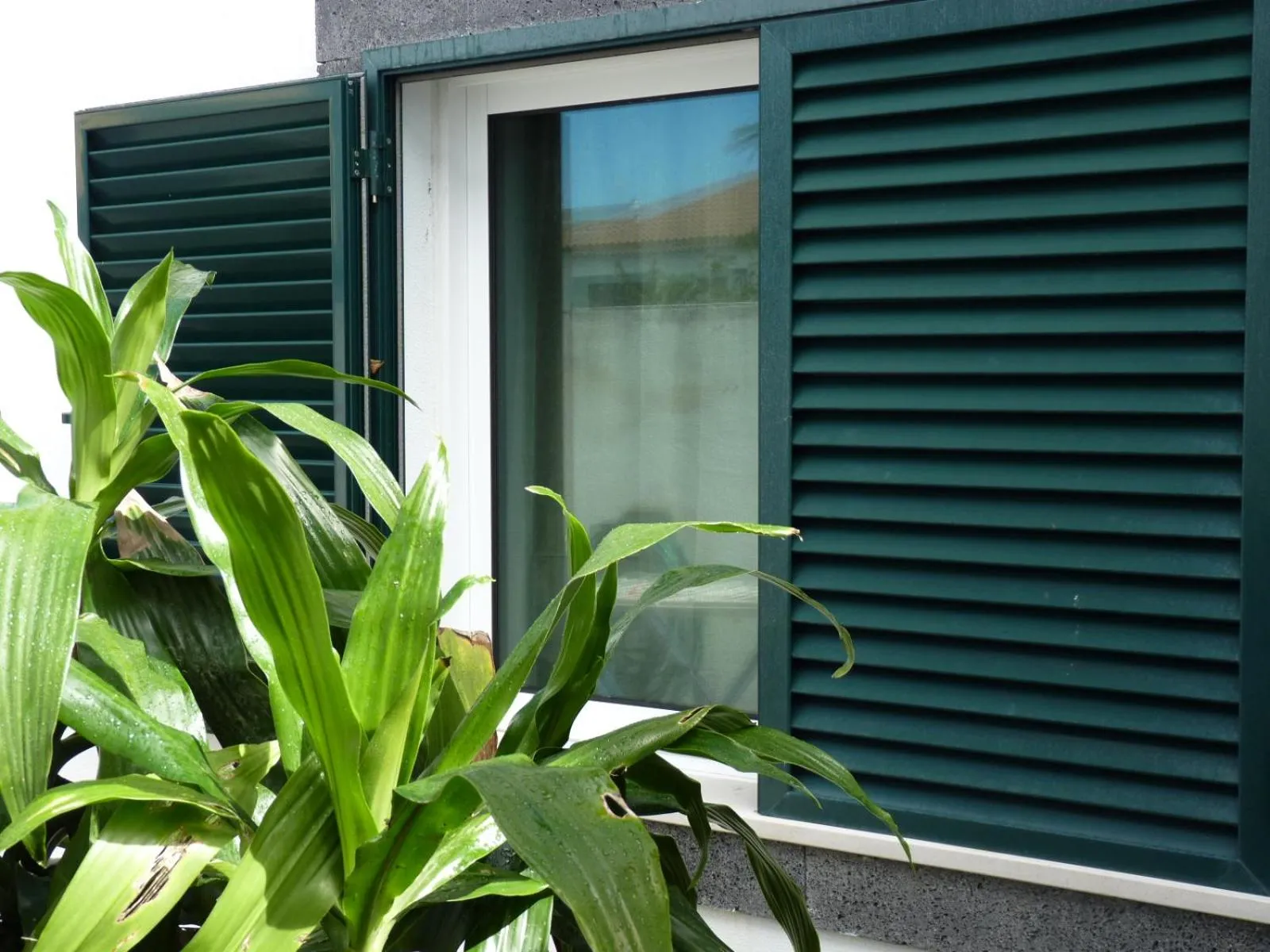 Inner courtyard view in AZORES HOLIDAYS HOUSE -B&B - Suites - Self Check-in KEYBOARD