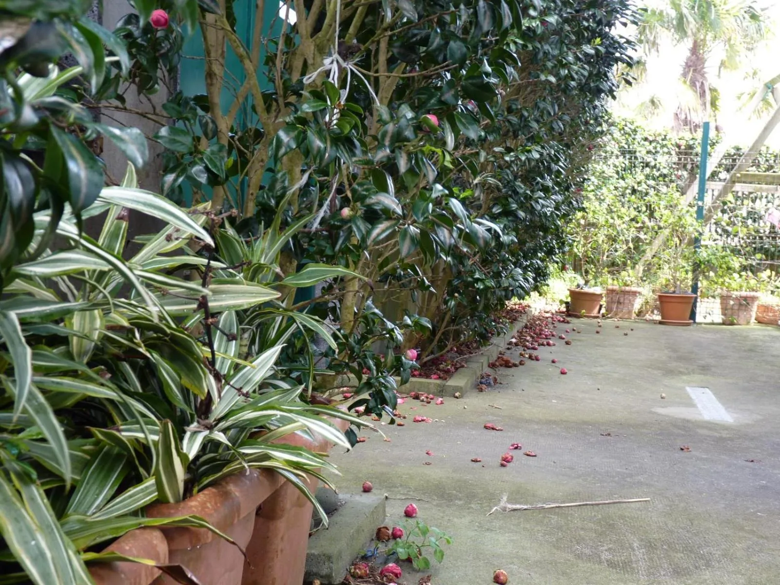 Property building in AZORES HOLIDAYS HOUSE -B&B - Suites - Self Check-in KEYBOARD