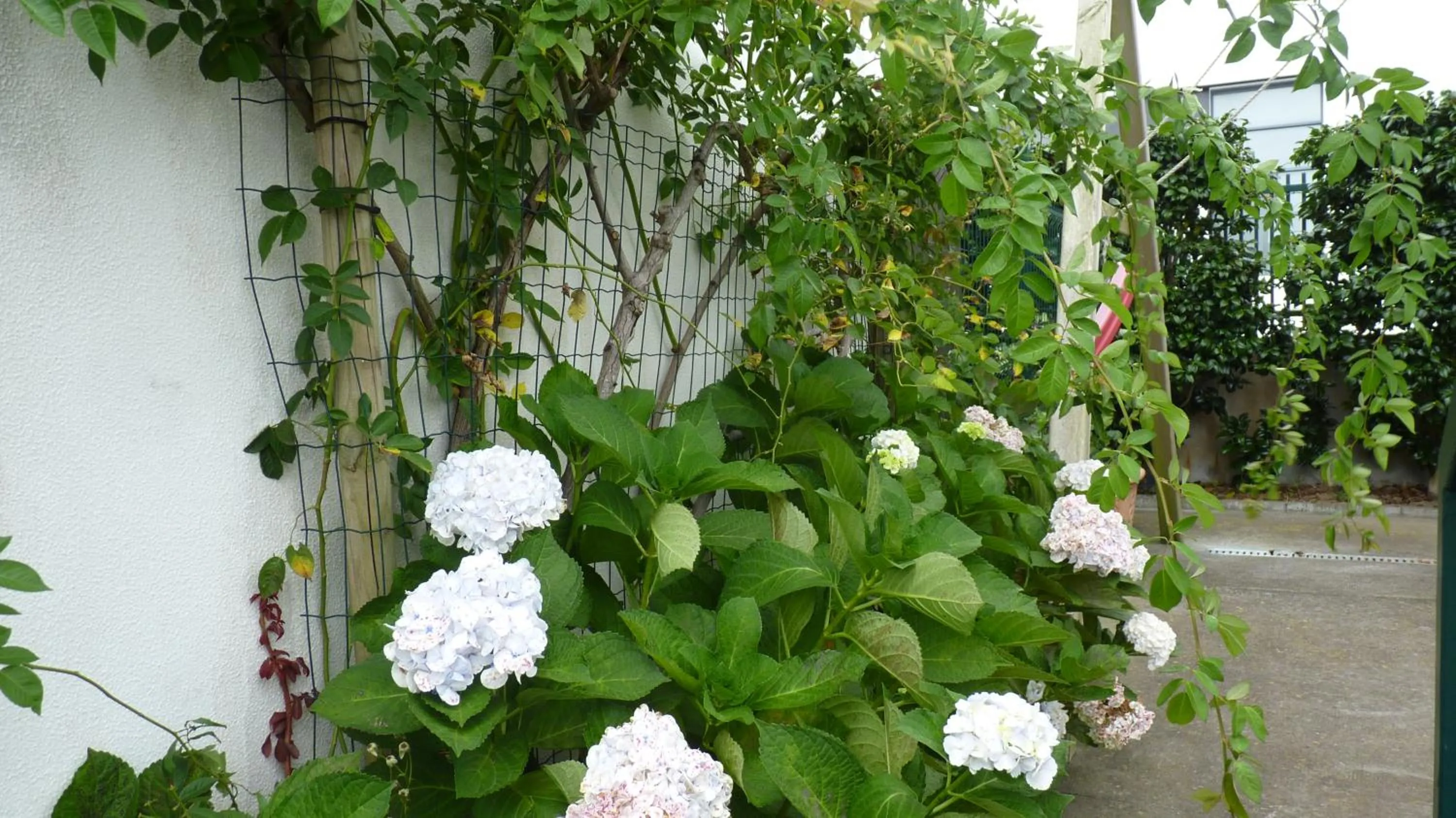 Facade/entrance in AZORES HOLIDAYS HOUSE -B&B - Suites - Self Check-in KEYBOARD