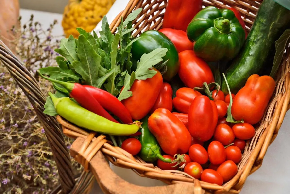 Food close-up in Astir Of Naxos