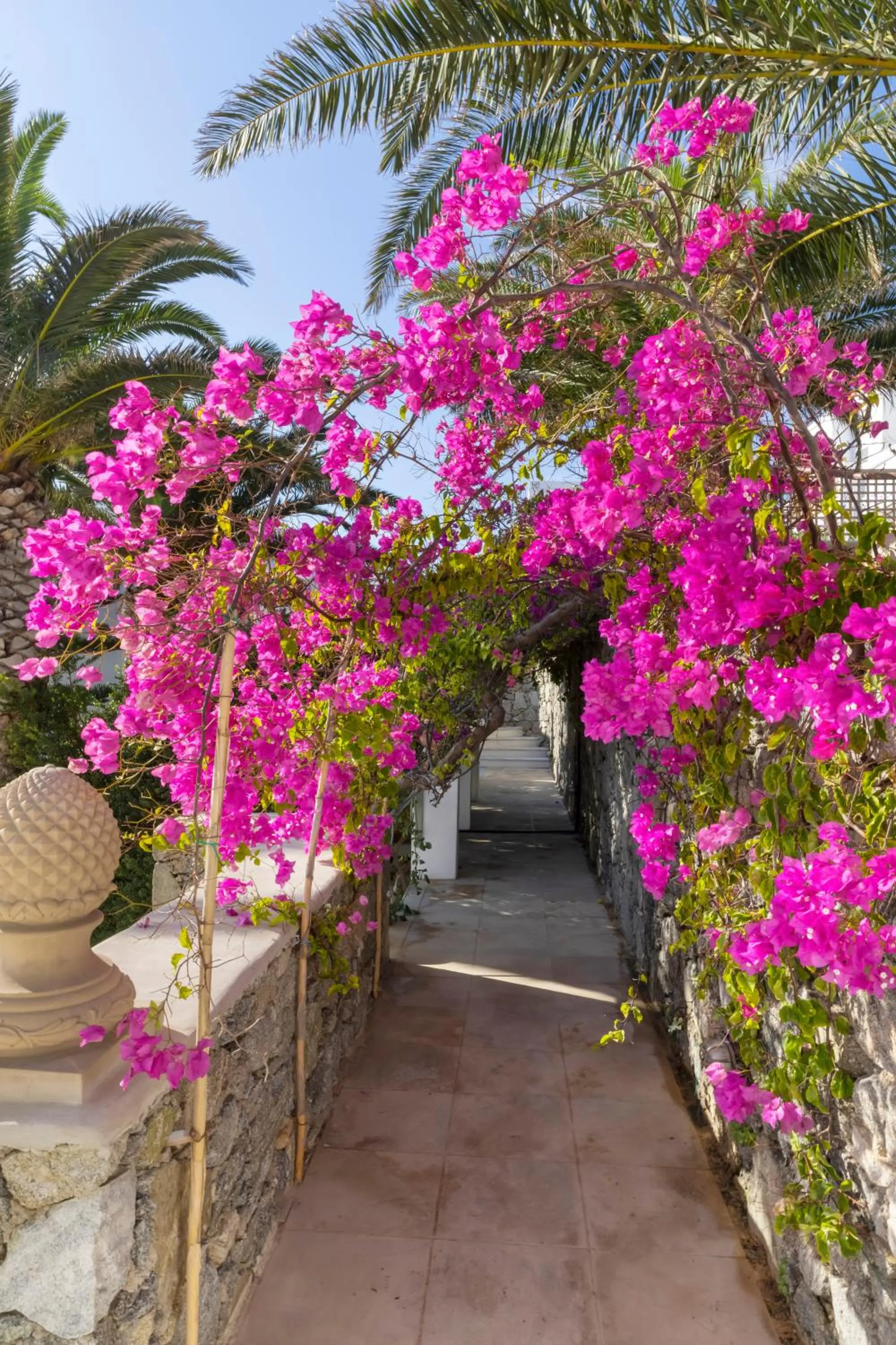 Garden in Dorion Hotel