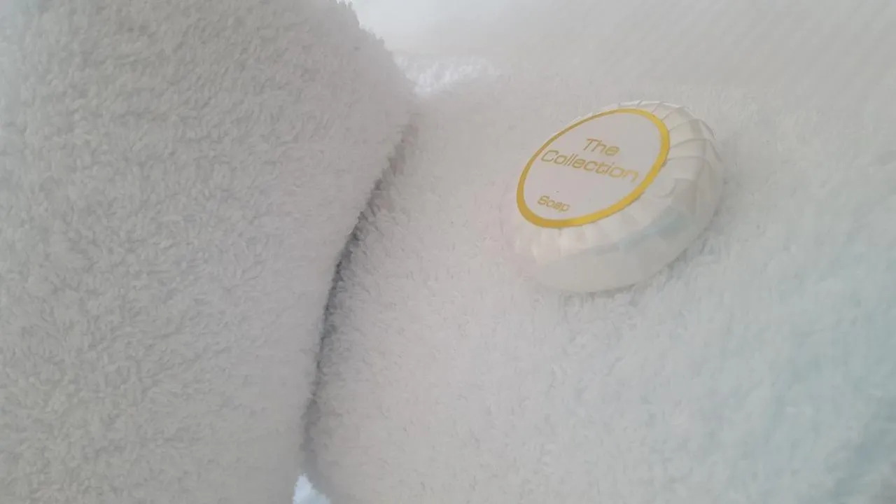 Other in The Dolphin Hotel