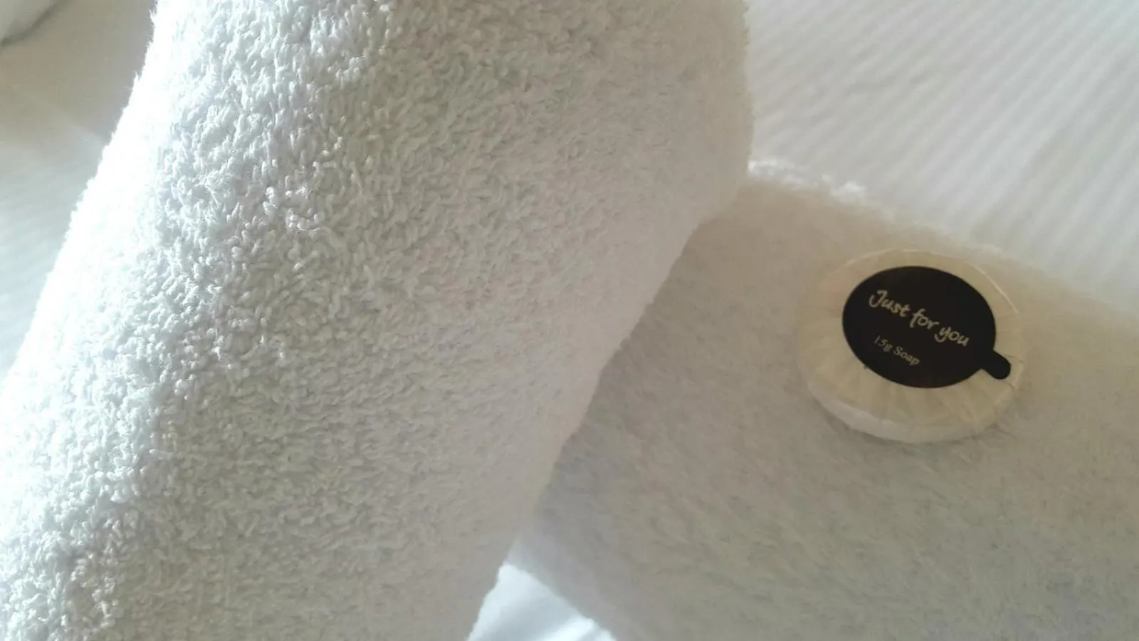 Other in The Dolphin Hotel