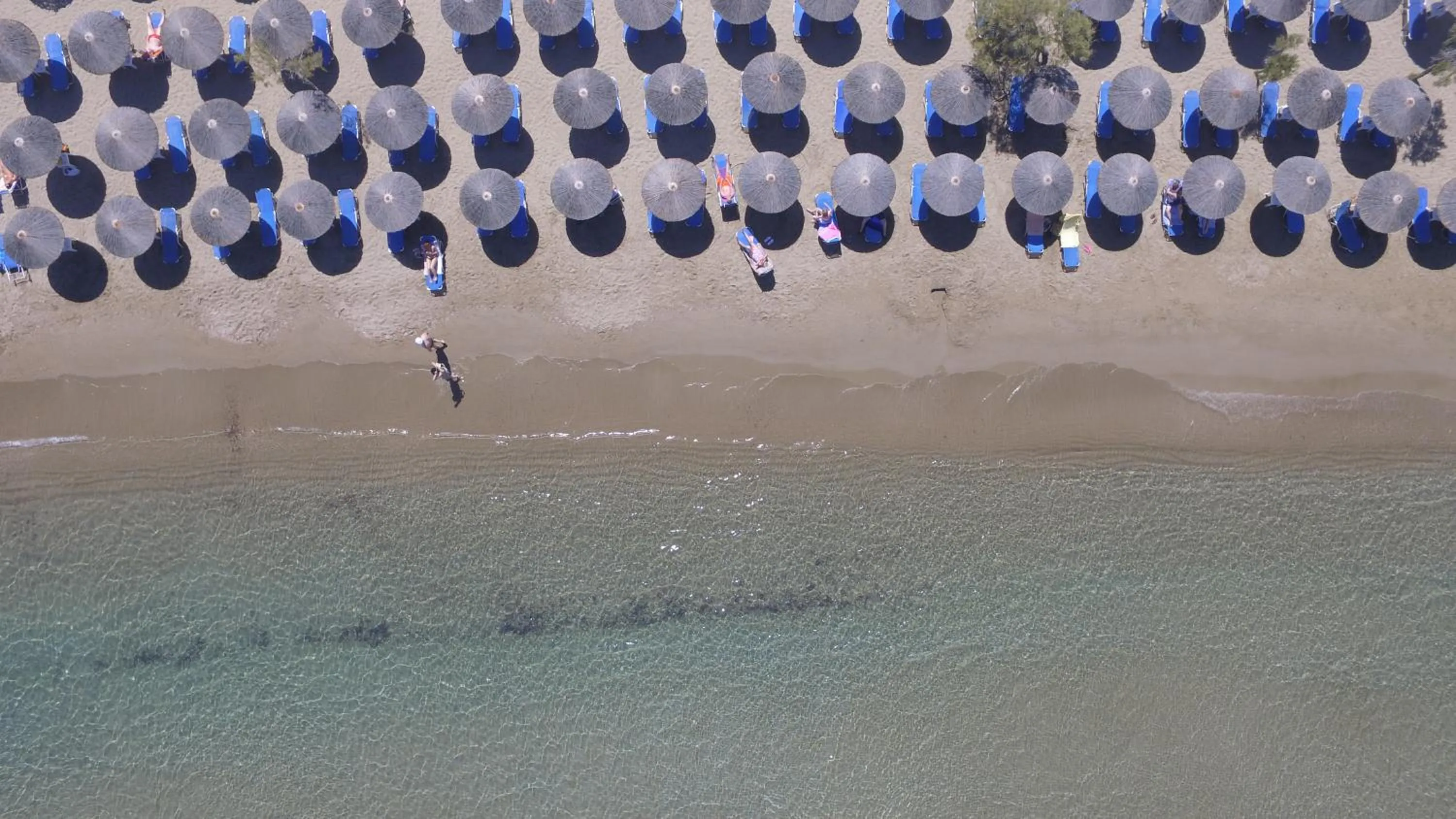 Beach in Dolphin Bay Seaside Resort & Suites