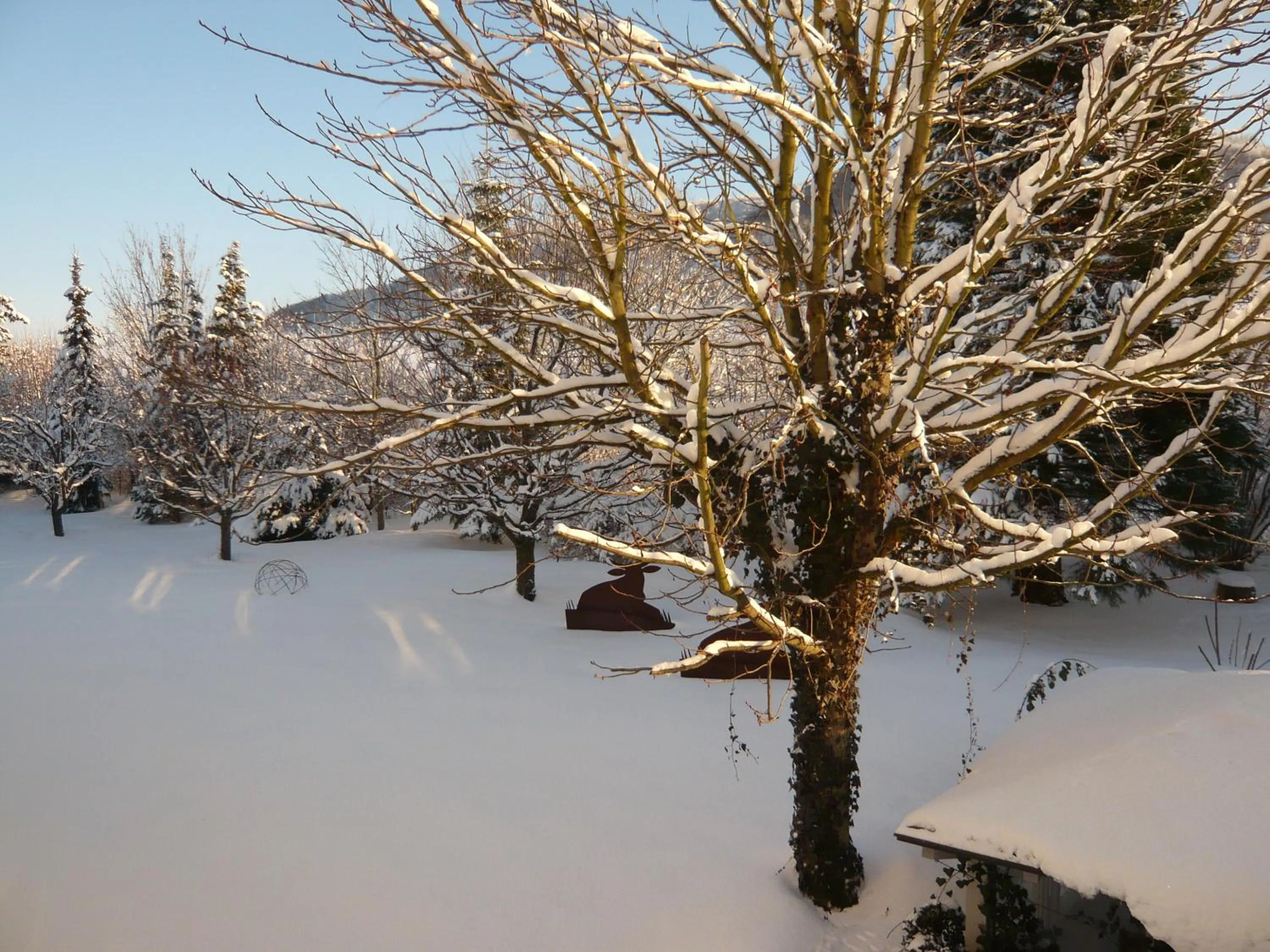 Garden view in Hotel Scholz